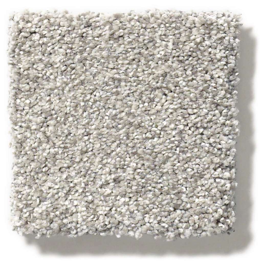 Executive Medley Carpet - Pogo Stick  Swatch Image 