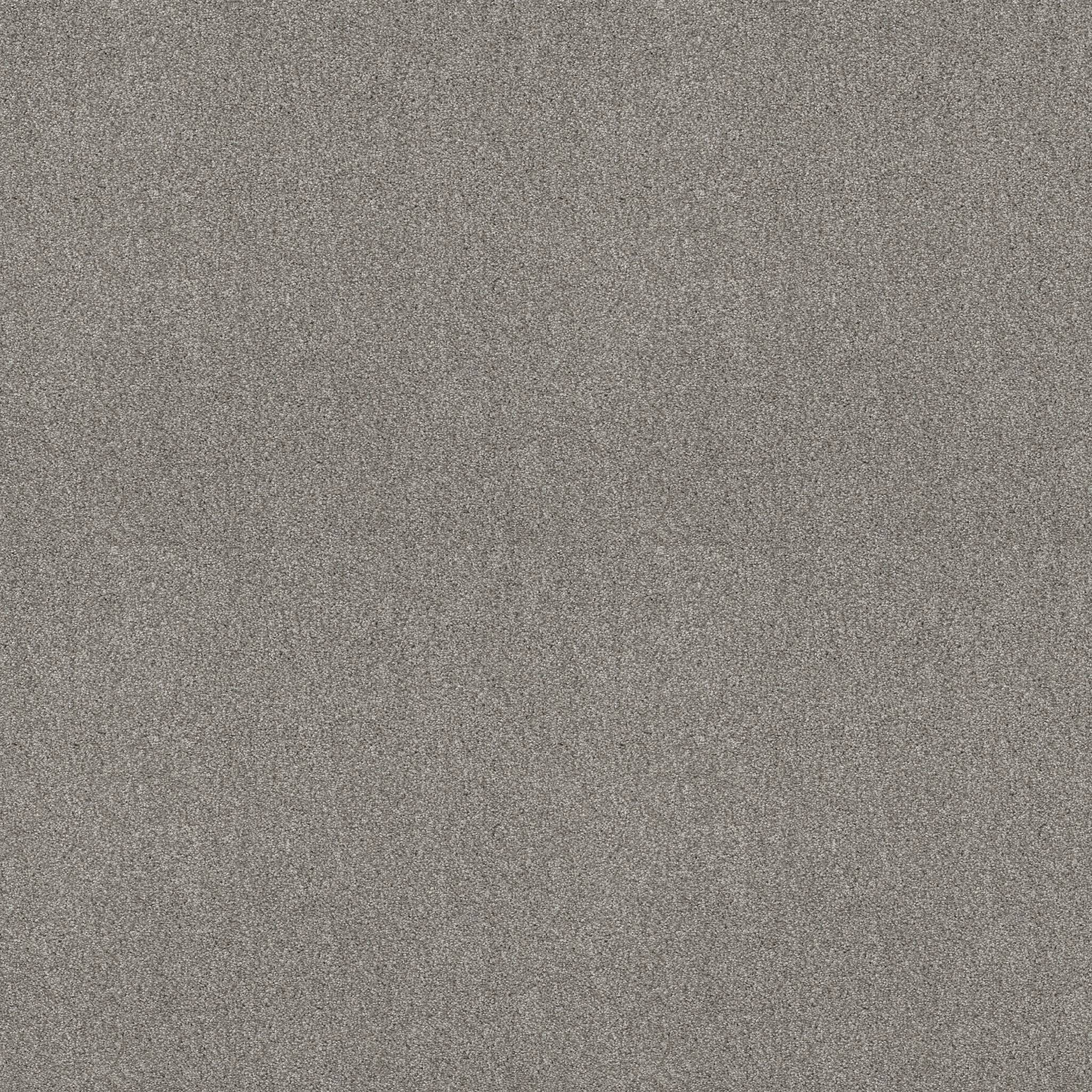 Executive Medley Carpet - Stepping Stone Zoomed Swatch Image