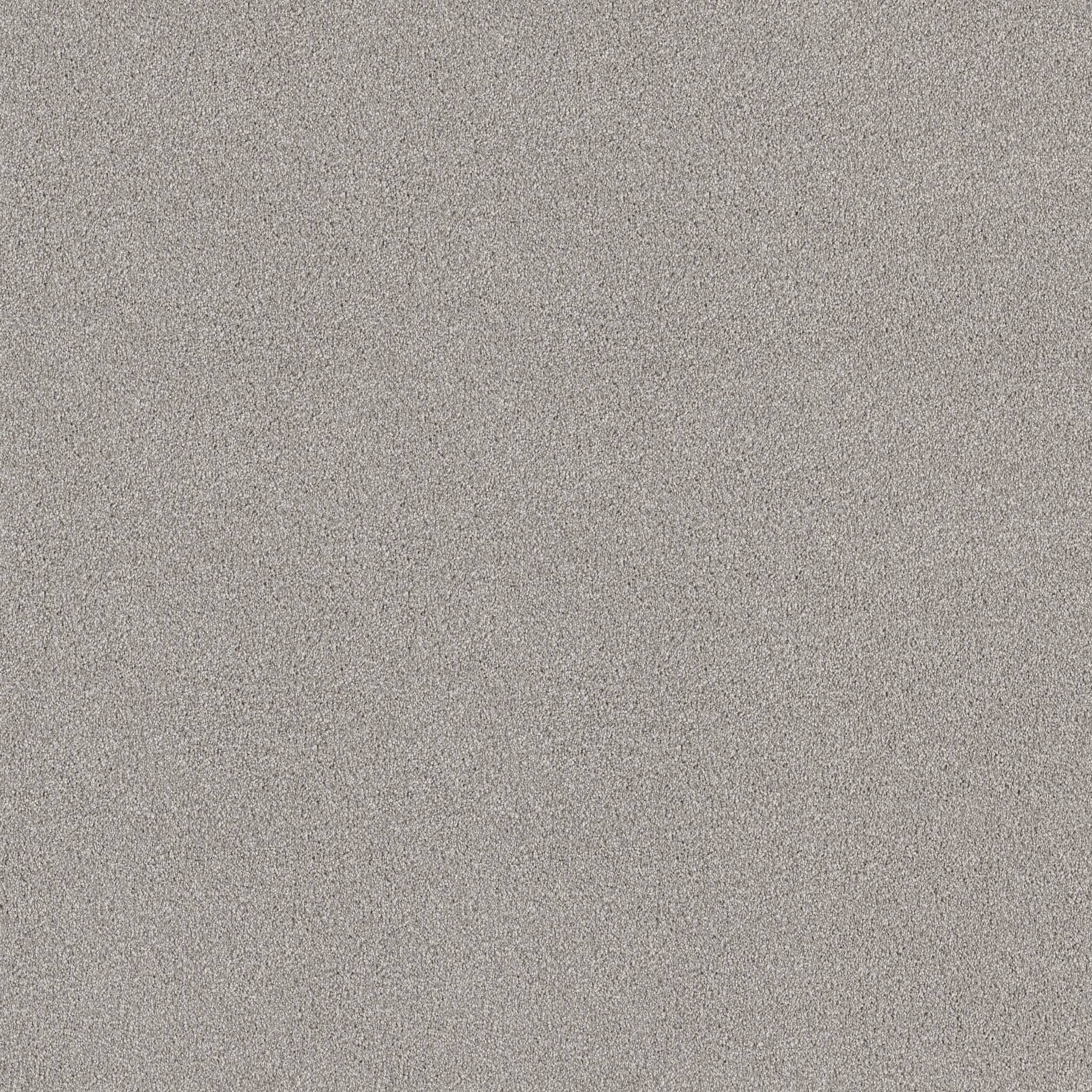 Executive Medley Carpet - Shimmer Zoomed Swatch Image