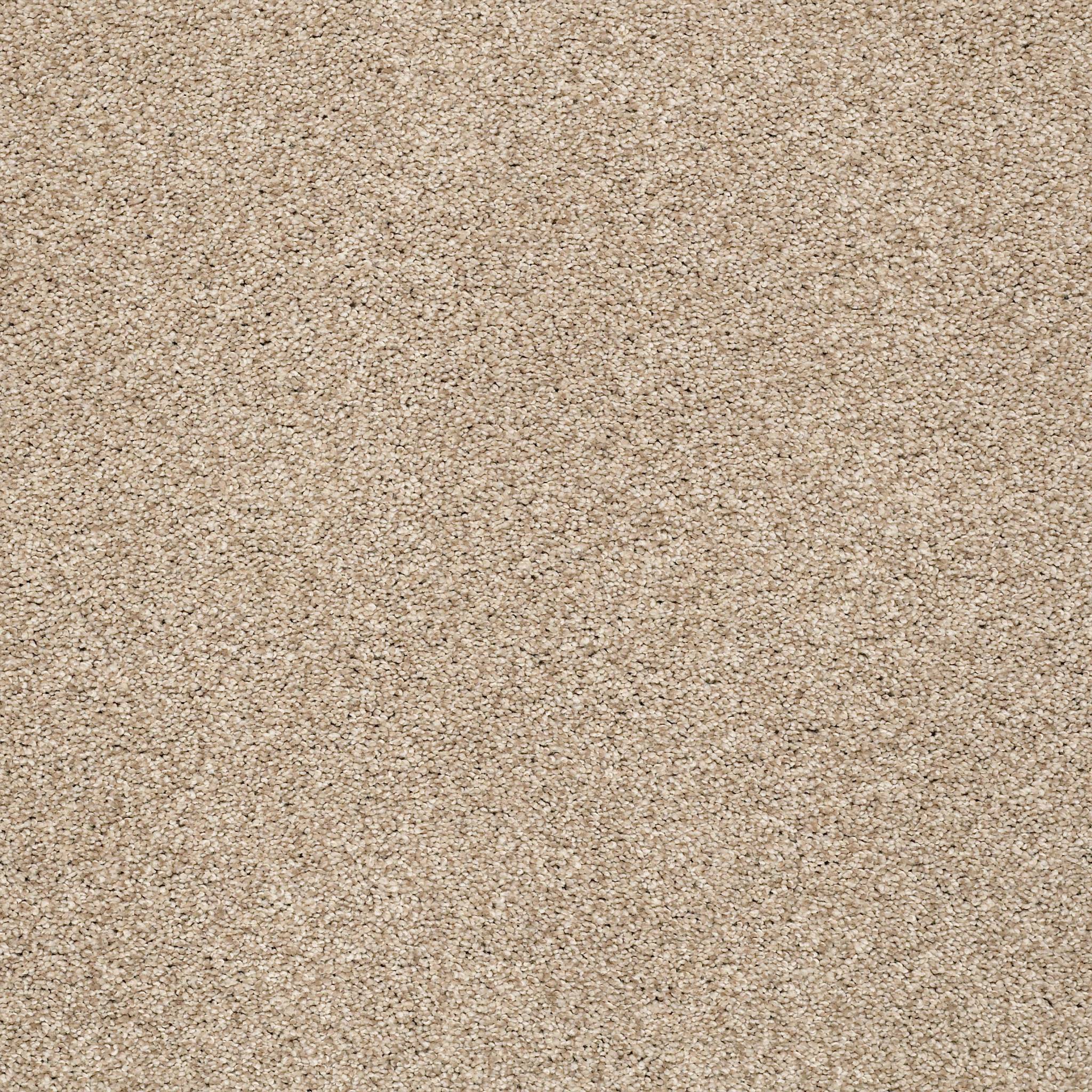 Executive Medley Carpet - Picket Fence Zoomed Swatch Image