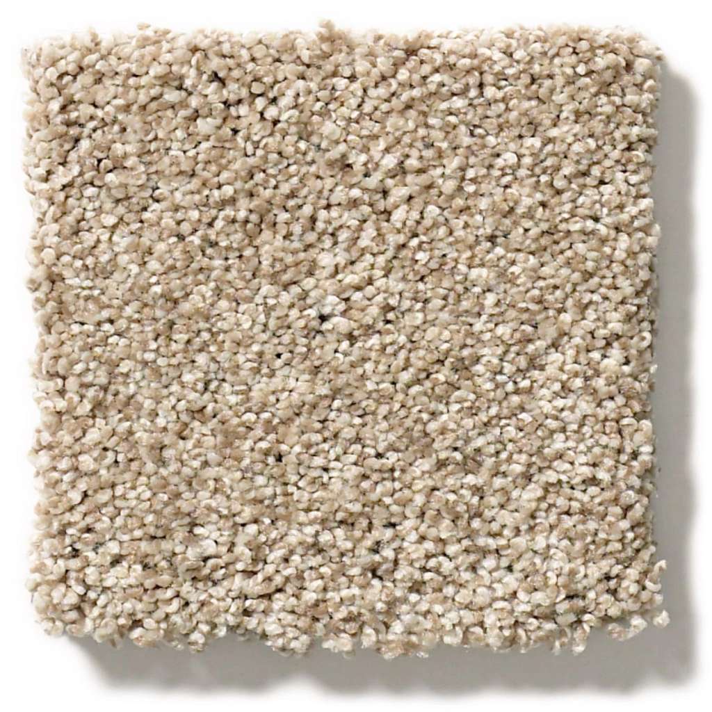 Executive Medley Carpet - Picket Fence  Swatch Image 