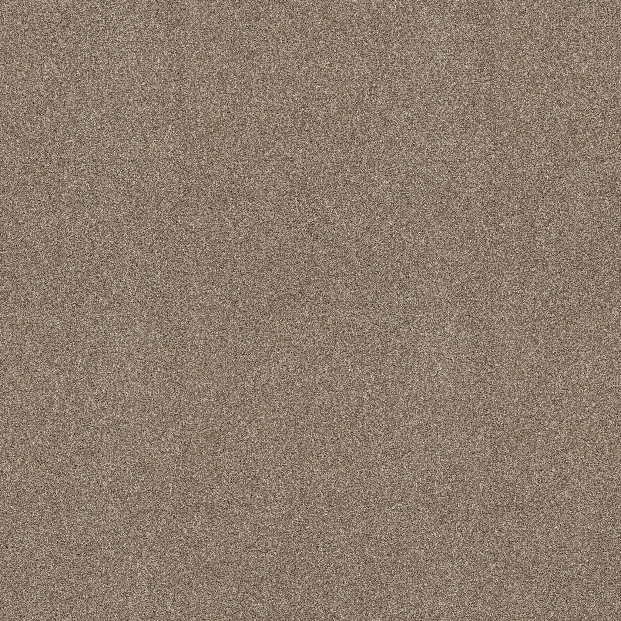 Executive Medley Carpet - Boardwalk Zoomed Swatch Image