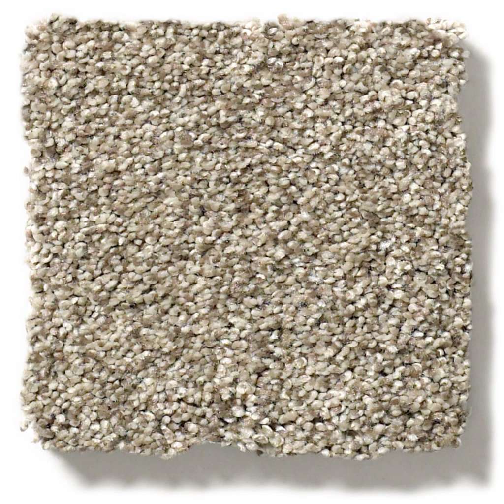 Executive Medley Carpet - Boardwalk  Swatch Image 