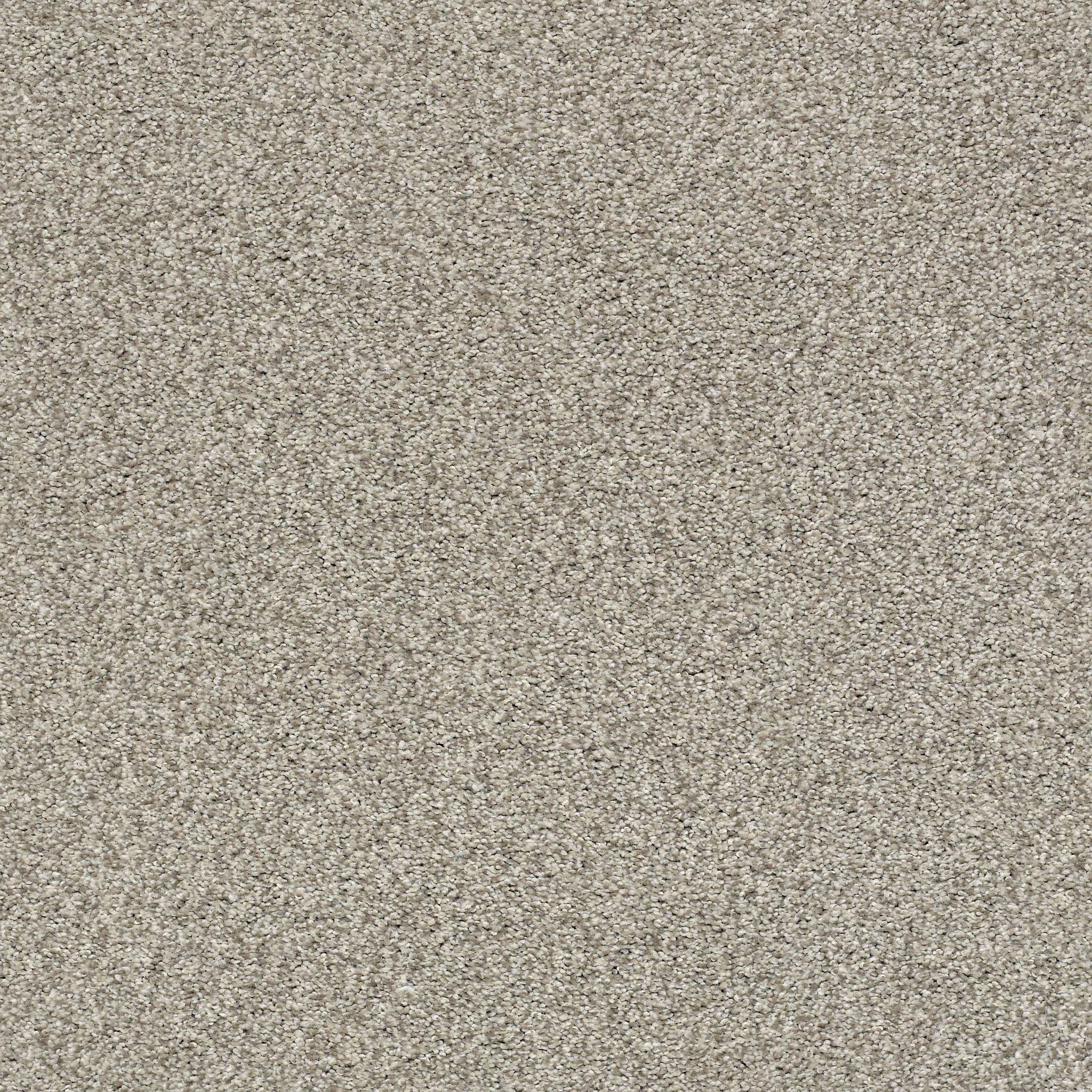 Executive Medley Carpet - Rustic Zoomed Swatch Image