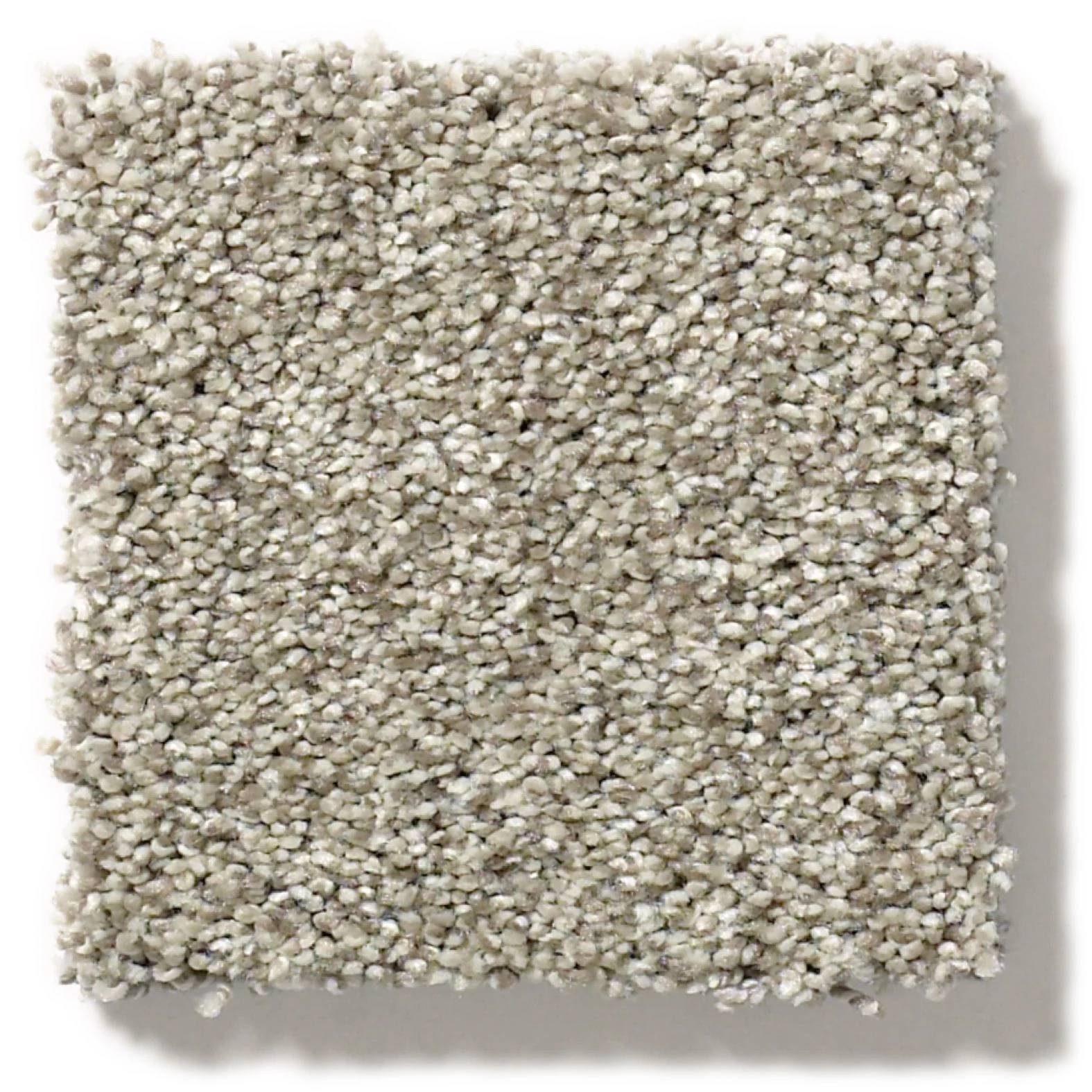 Executive Medley Carpet - Rustic Swatch Thumbnail pupop1