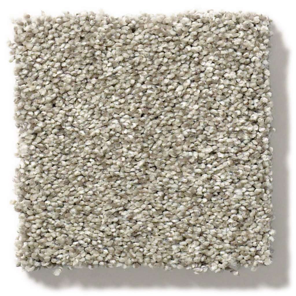 Executive Medley Carpet - Rustic  Swatch Image 