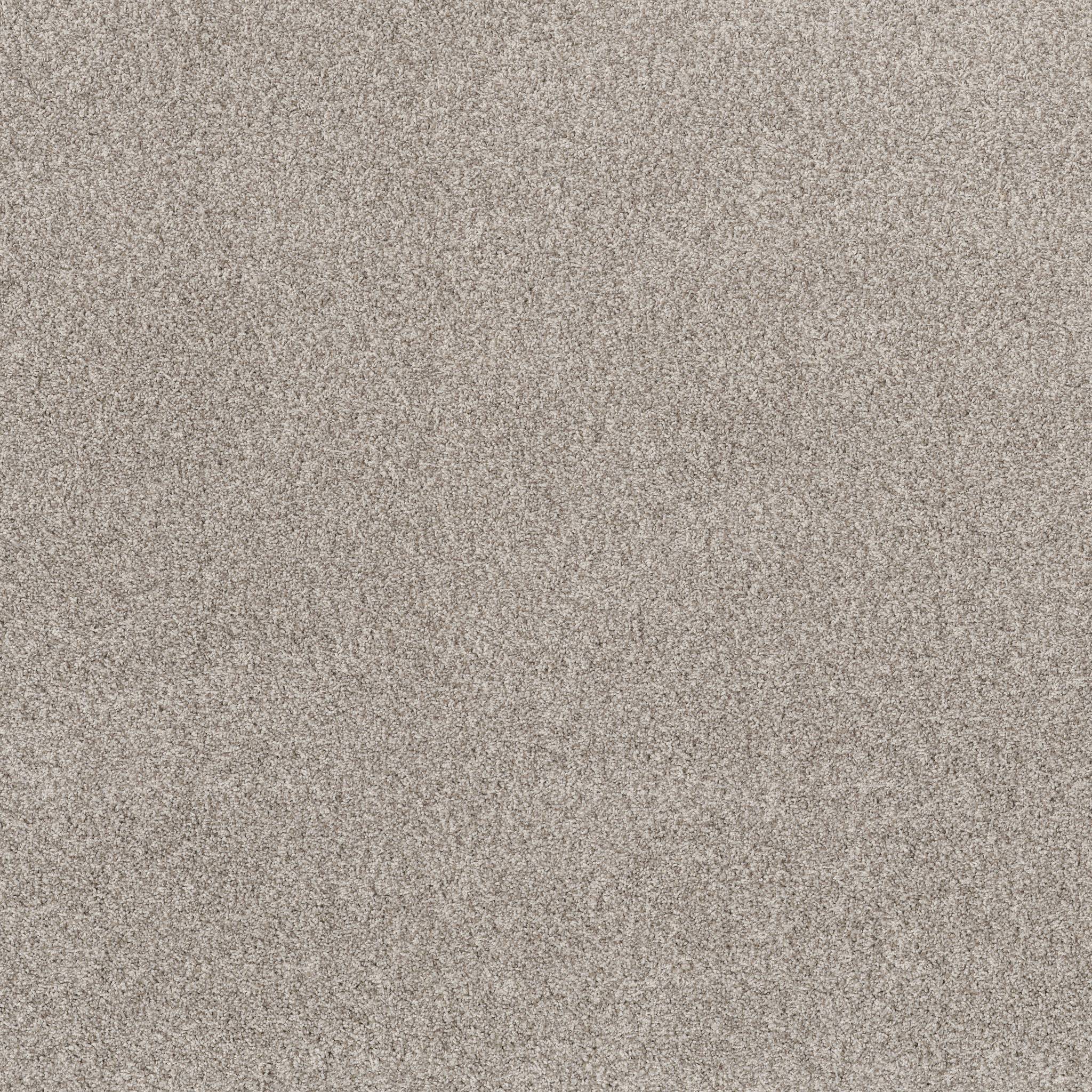 Tango Carpet - Misty Dawn Zoomed Swatch Image