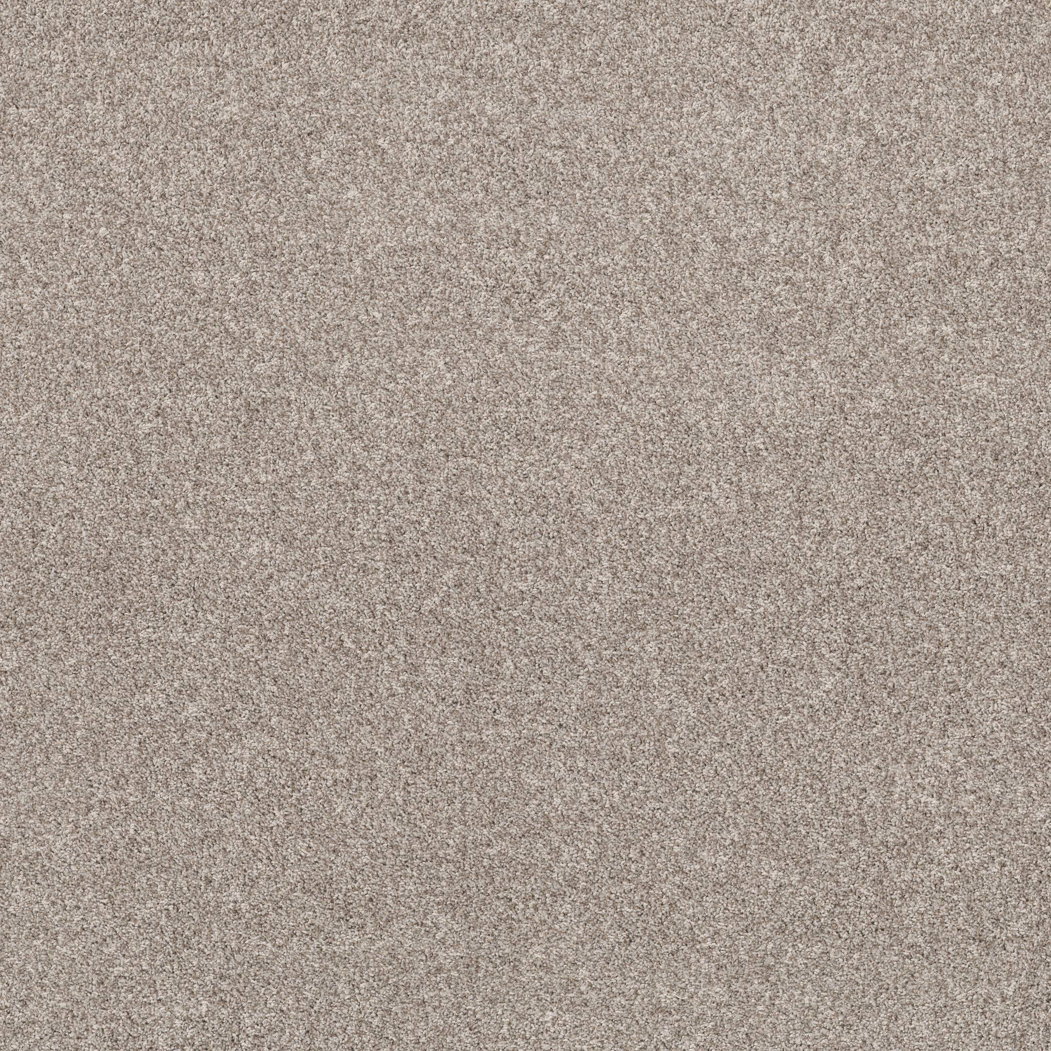 Tango Carpet - Spun Cotton Zoomed Swatch Image