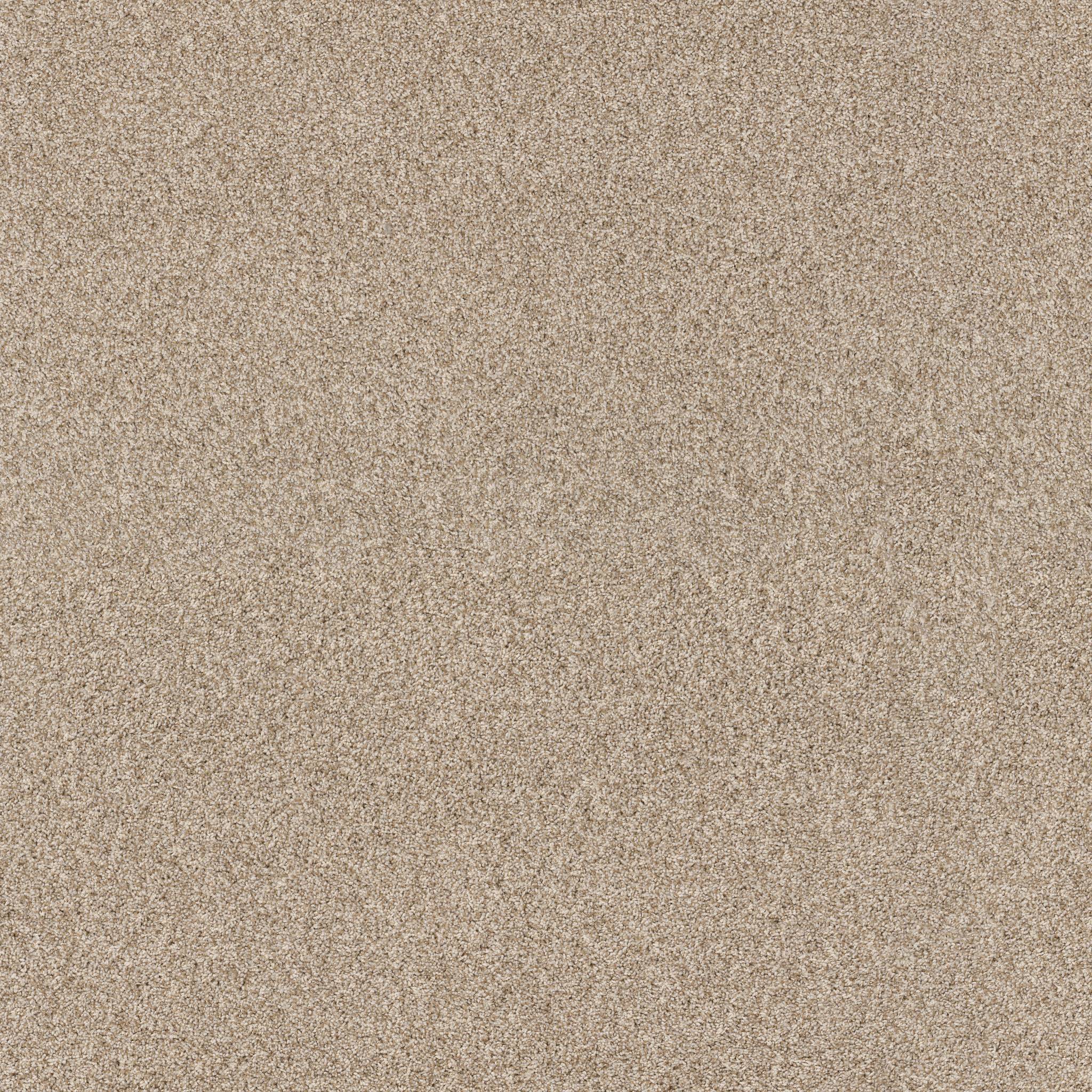 Tango Carpet - Beach Grass Zoomed Swatch Image