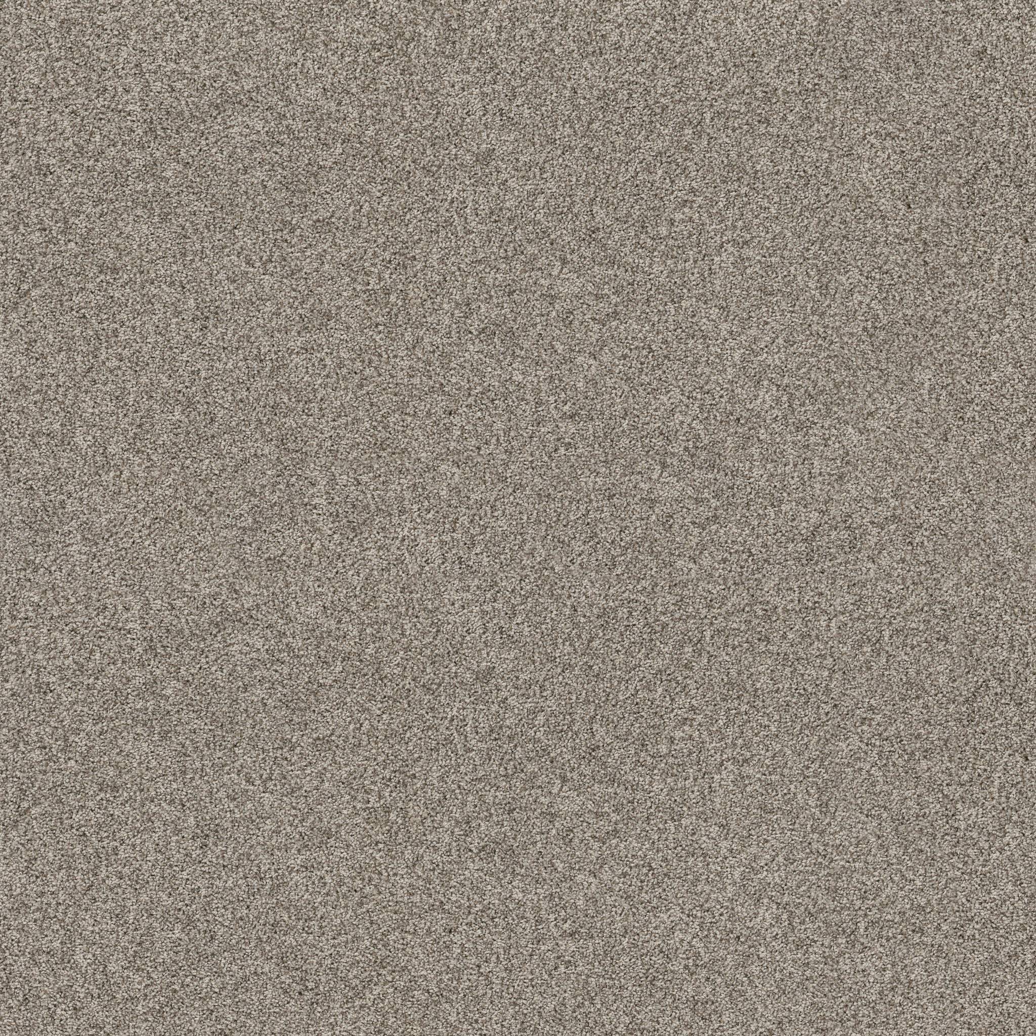 Tango Carpet - Urban Nature Zoomed Swatch Image