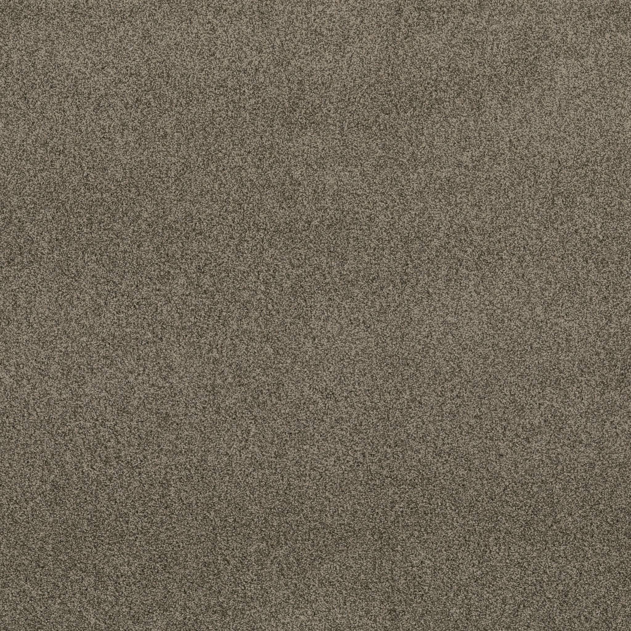 Tango Carpet - Arrowhead Zoomed Swatch Image