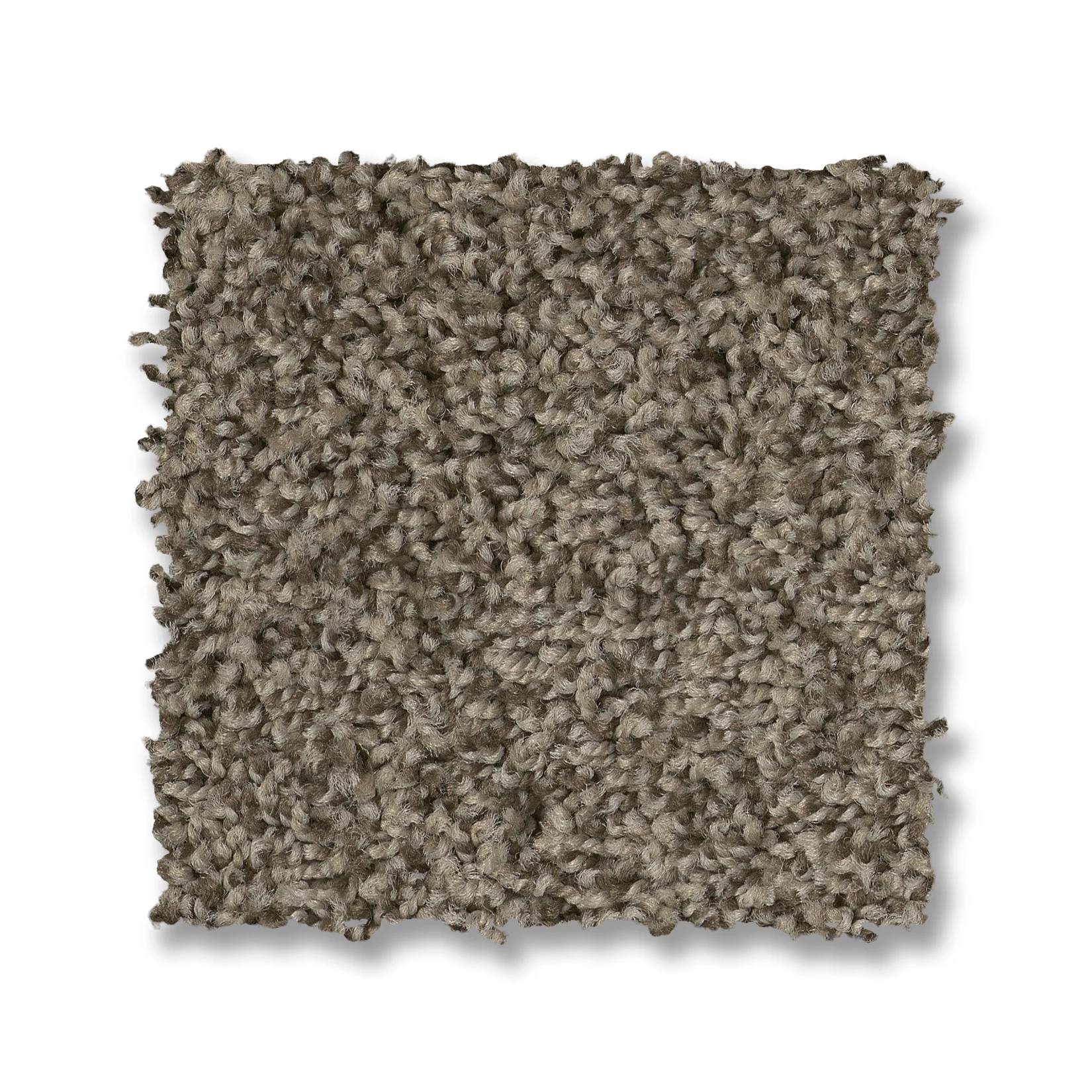 Tango Carpet - Arrowhead Swatch Thumbnail pupop1