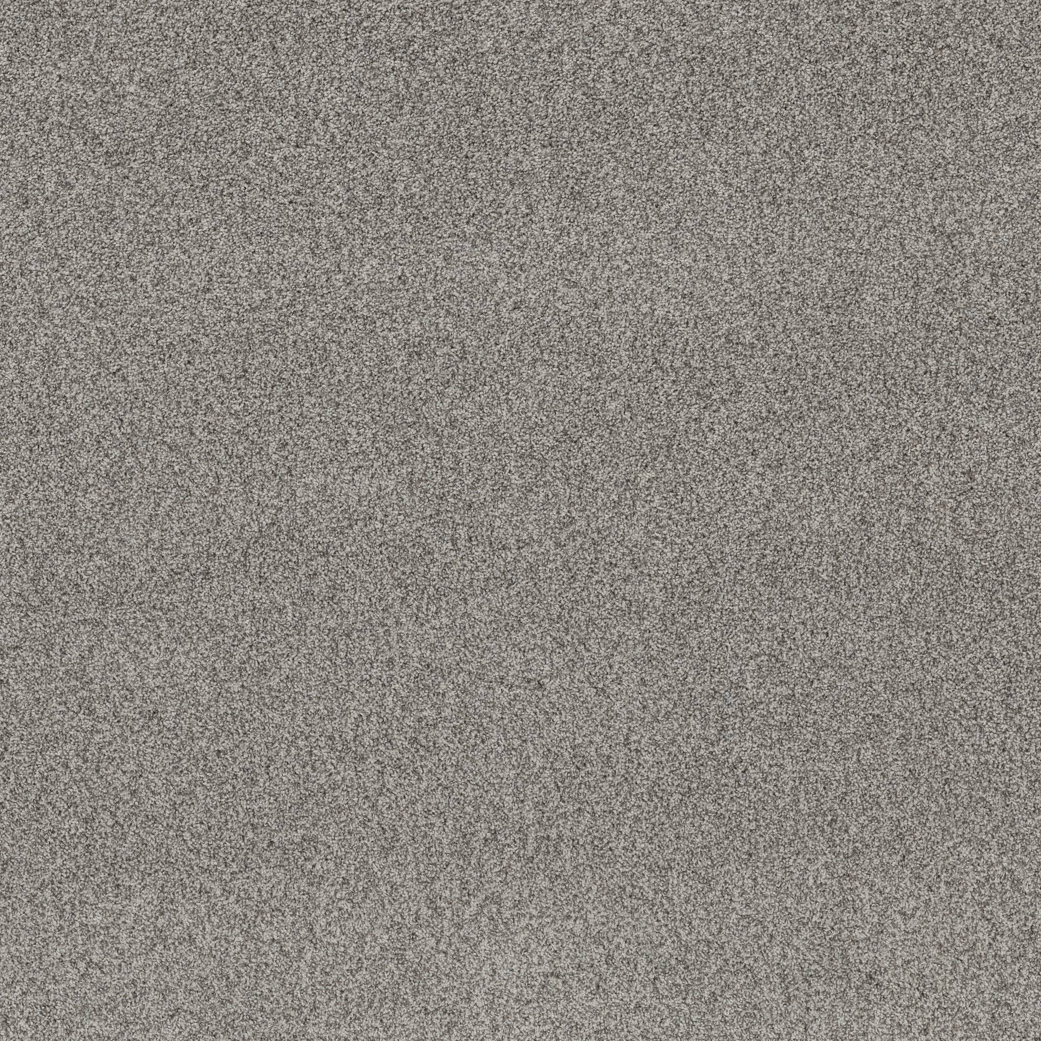 Tango Carpet - Chelsea Fog Zoomed Swatch Image