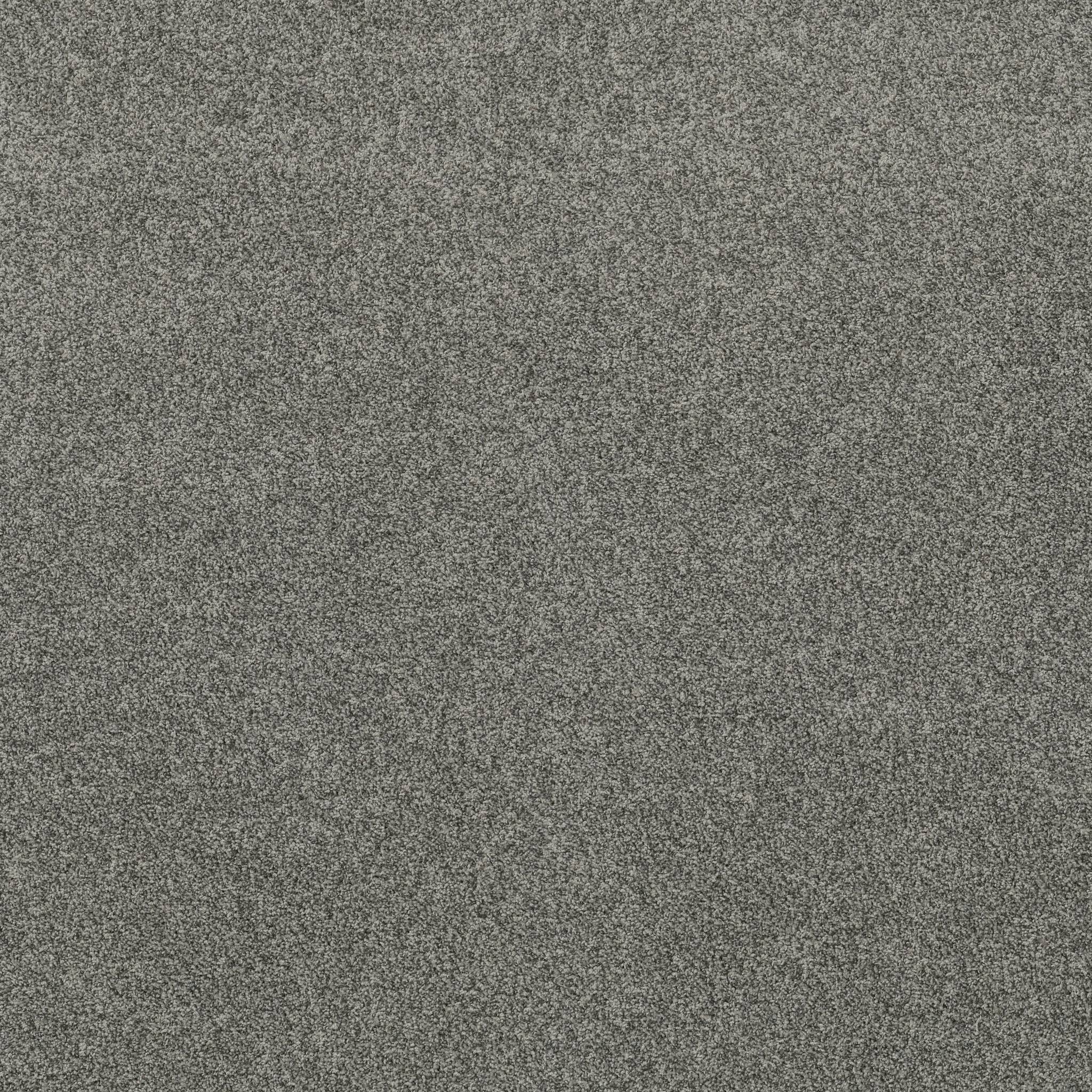 Tango Carpet - Lunar Zoomed Swatch Image