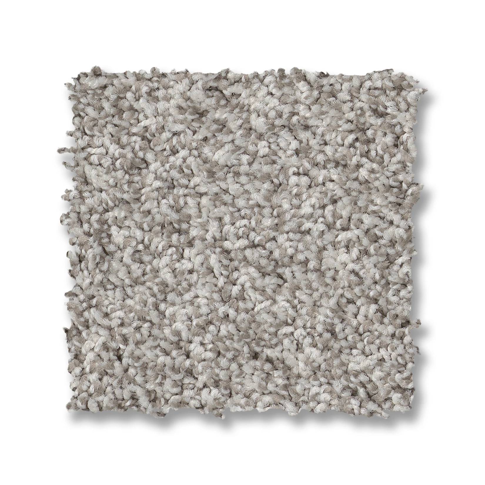 Tango Carpet - Platinum Swatch Thumbnail pupop1