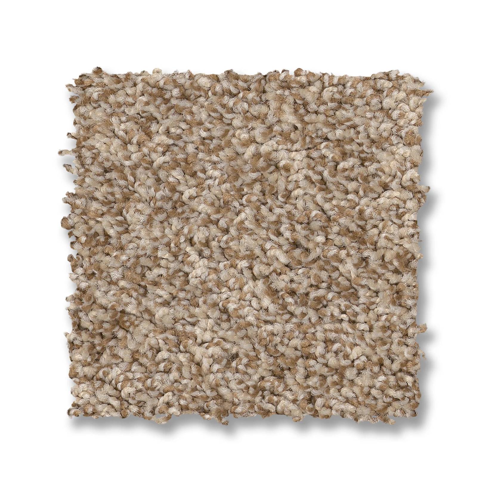 Tango Carpet - Potter's Clay Swatch Thumbnail pupop1