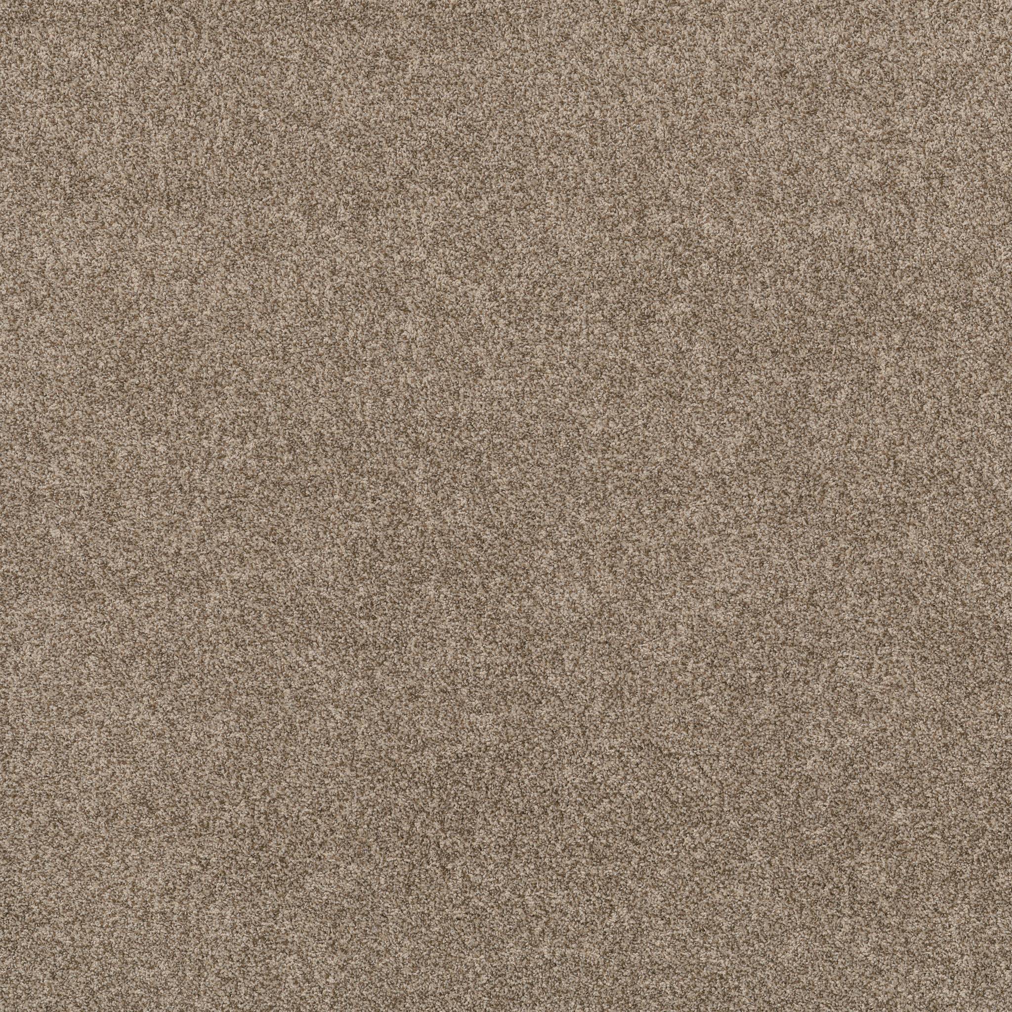 Tango Carpet - Roasted Zoomed Swatch Image