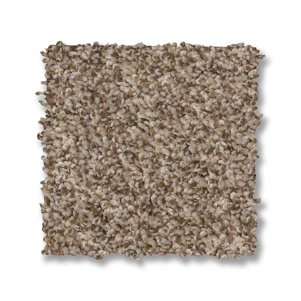 Style Tango Carpet - Roasted Swatch