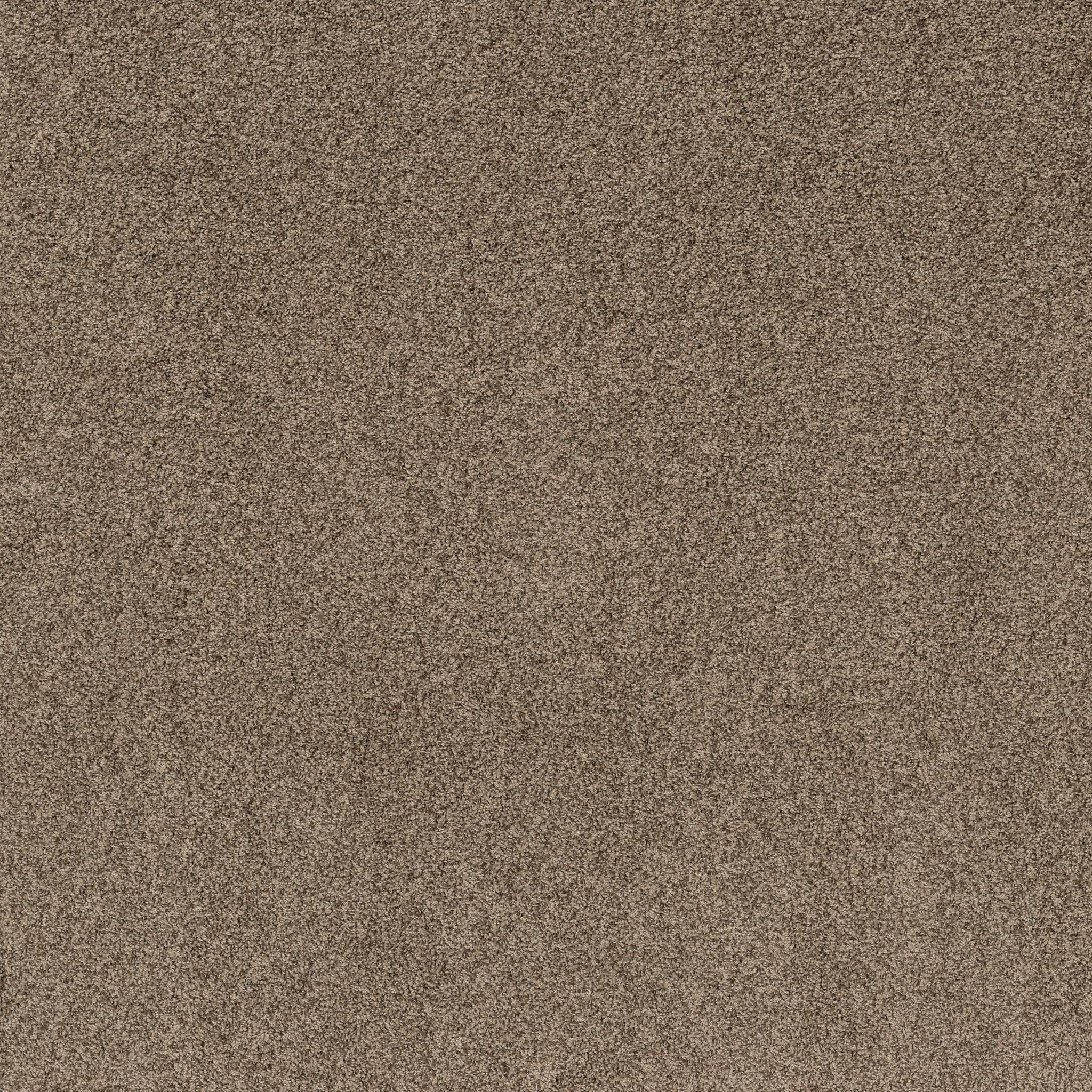 Tango Carpet - Joshua Tree Zoomed Swatch Image