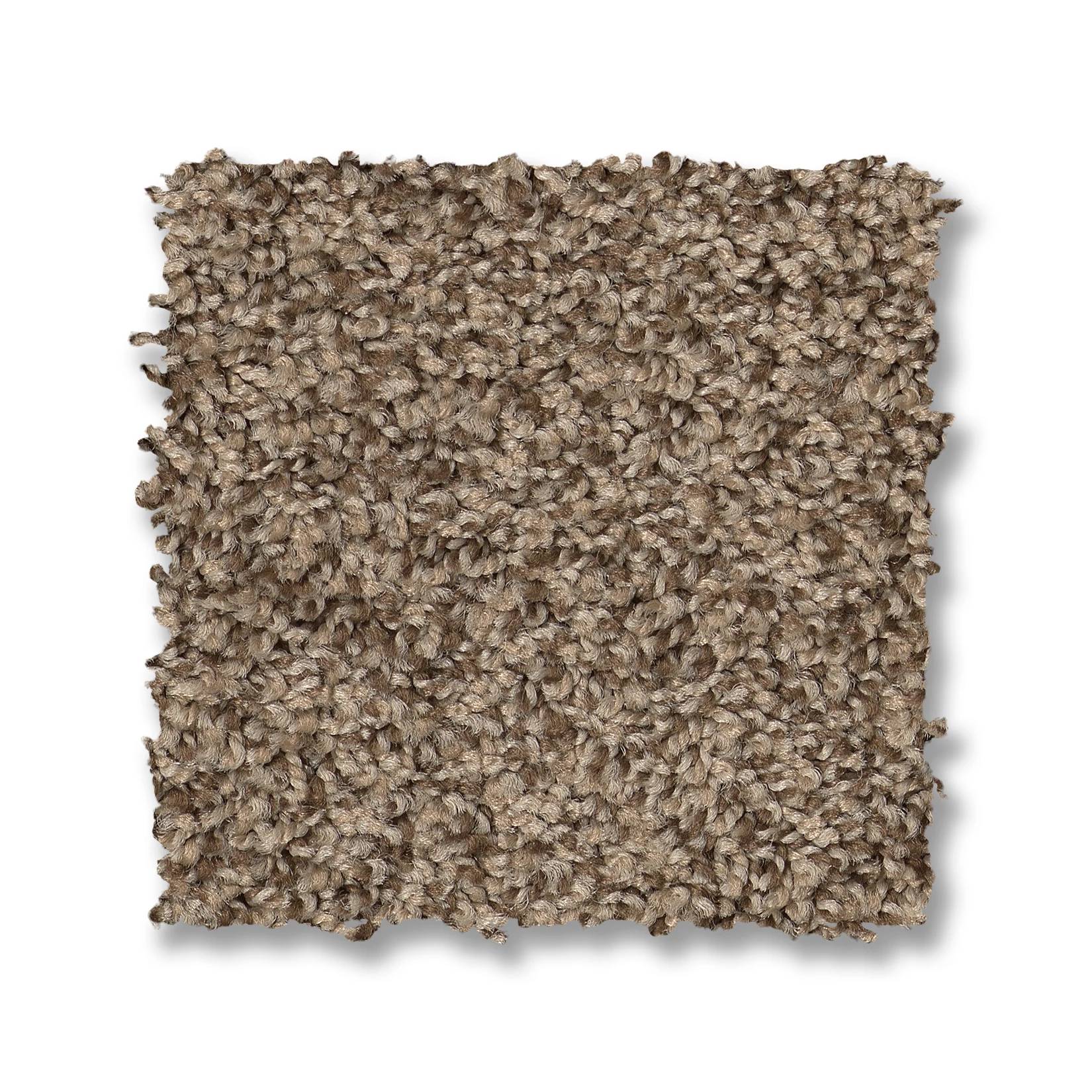 Tango Carpet - Joshua Tree Swatch Thumbnail pupop1