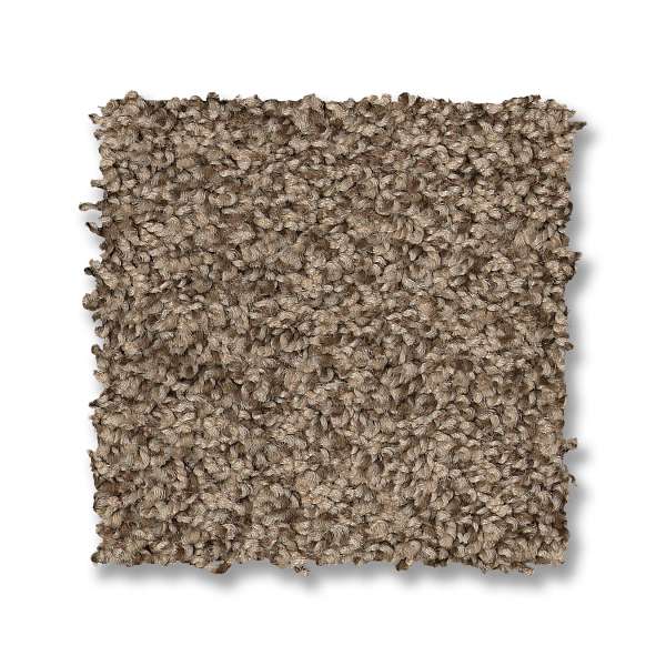 Style Tango Carpet - Joshua Tree Swatch