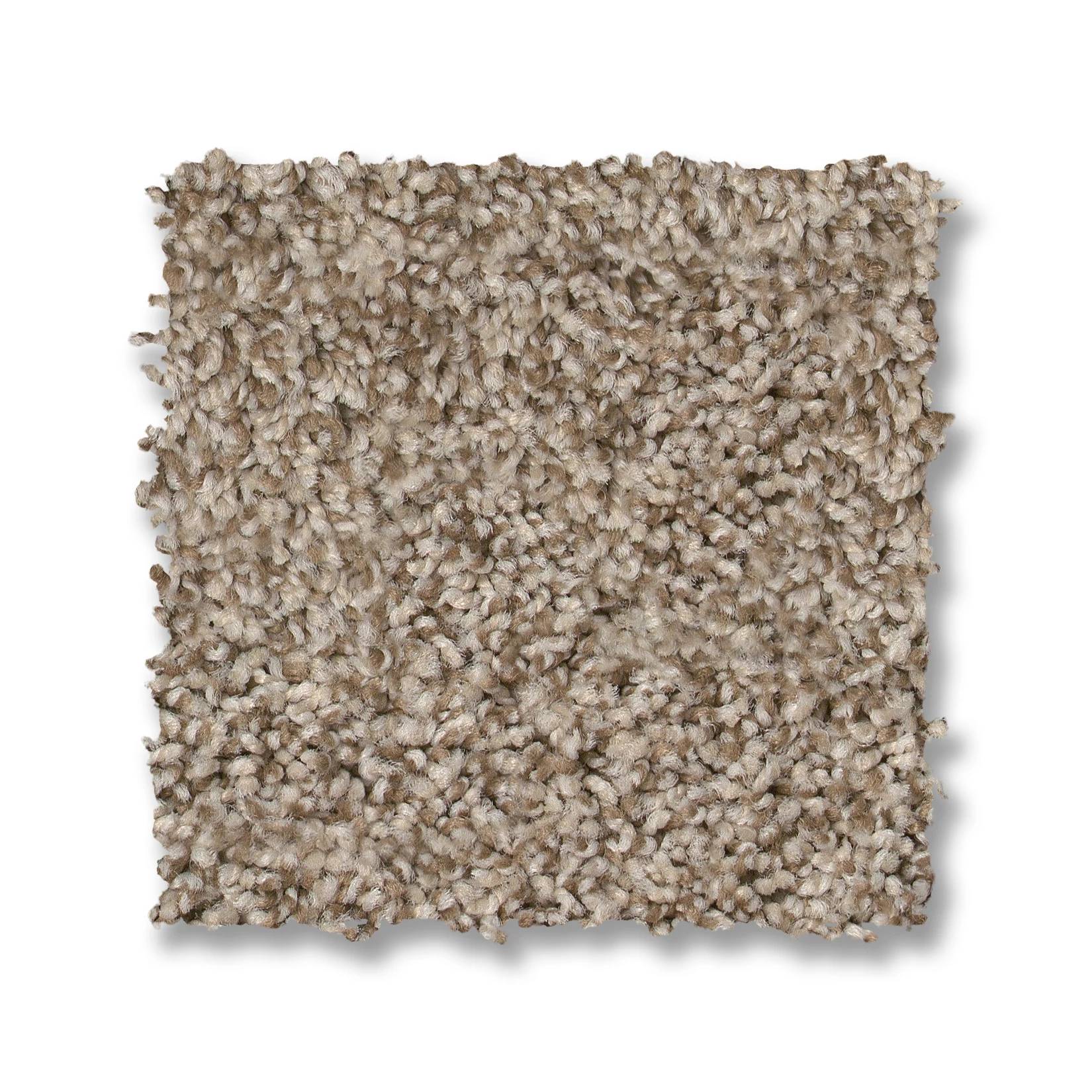 Tango Carpet - Cascade Swatch Thumbnail pupop1