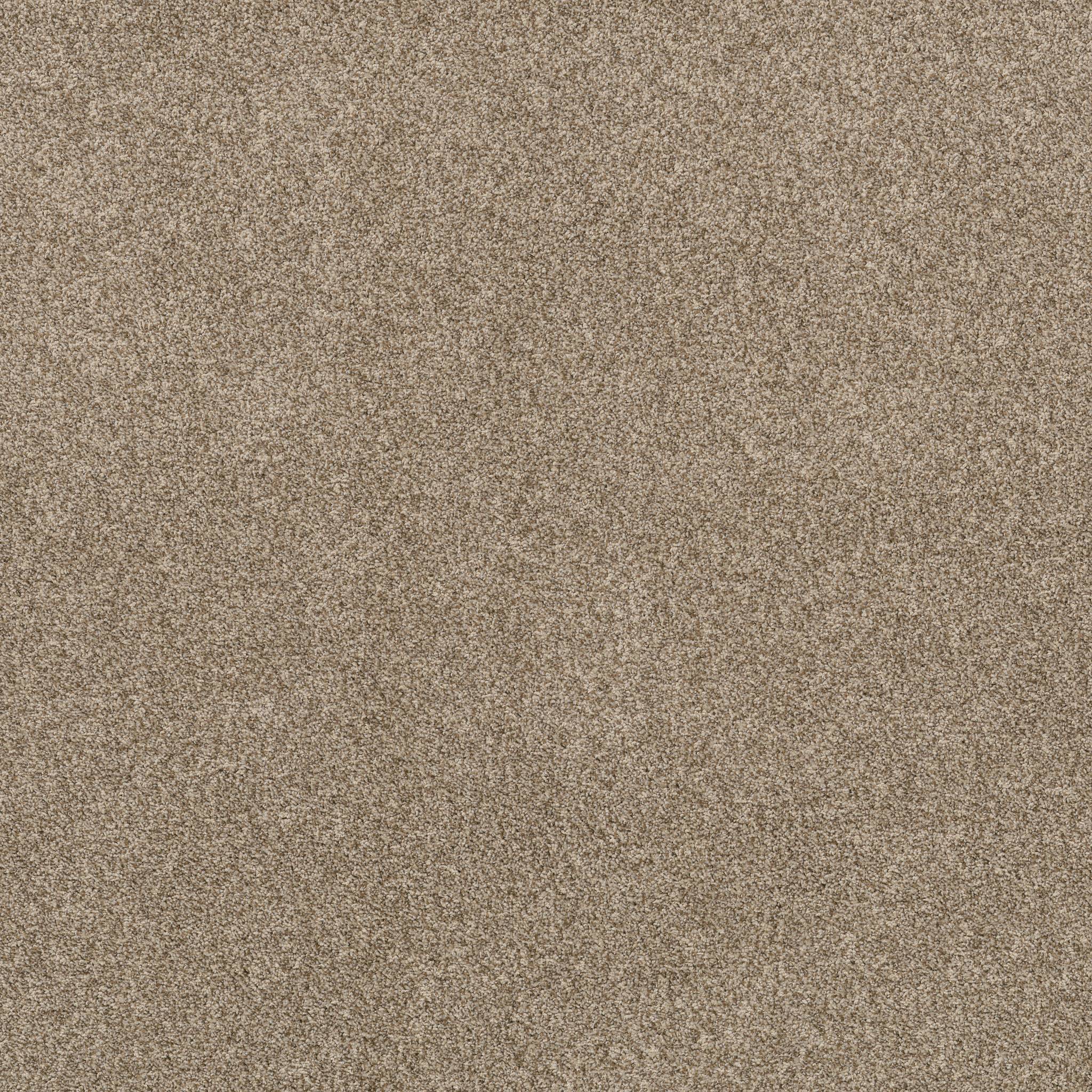 Tango Carpet - Landscape Zoomed Swatch Image