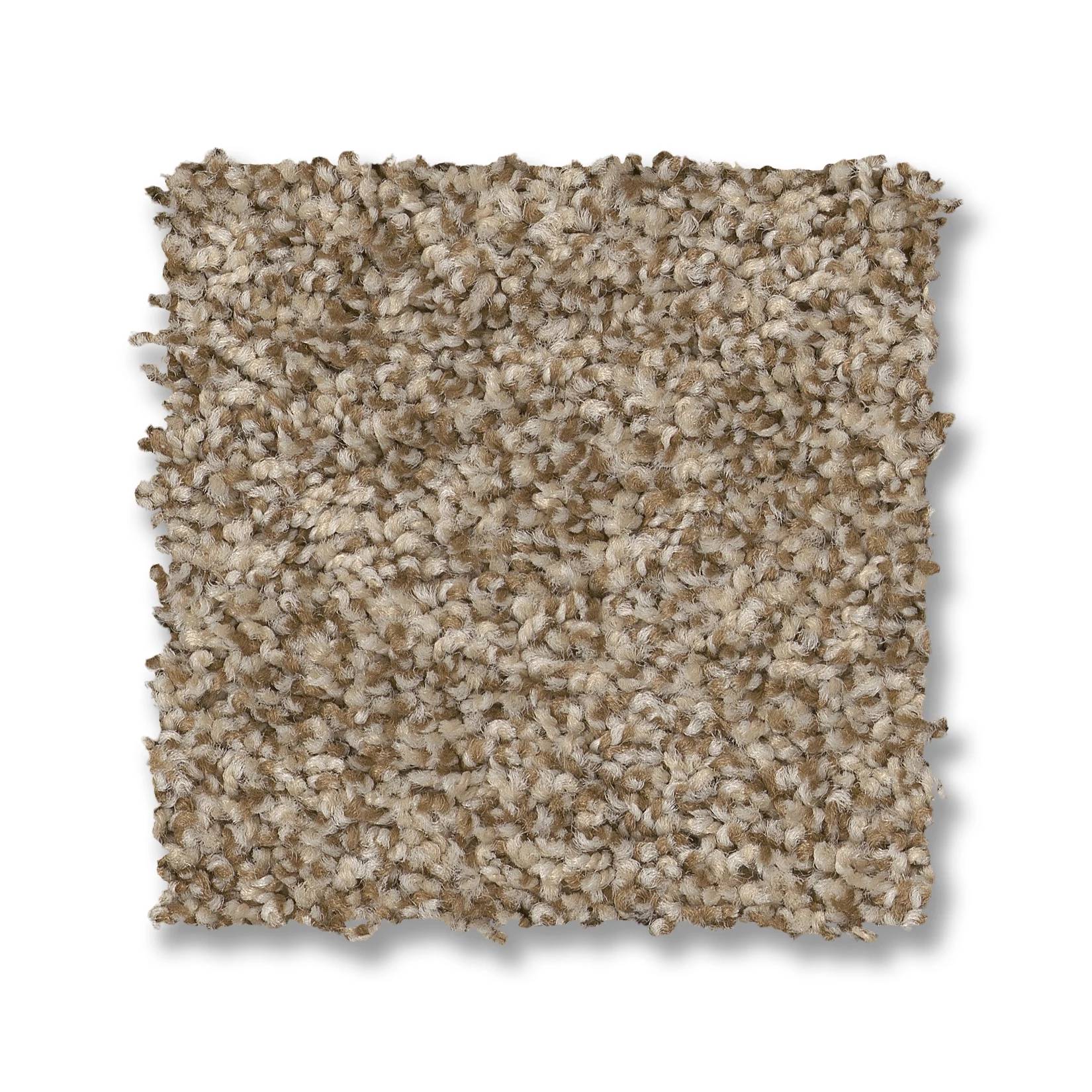 Tango Carpet - Landscape Swatch Thumbnail pupop1