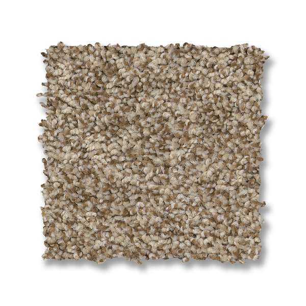 Style Tango Carpet - Landscape Swatch