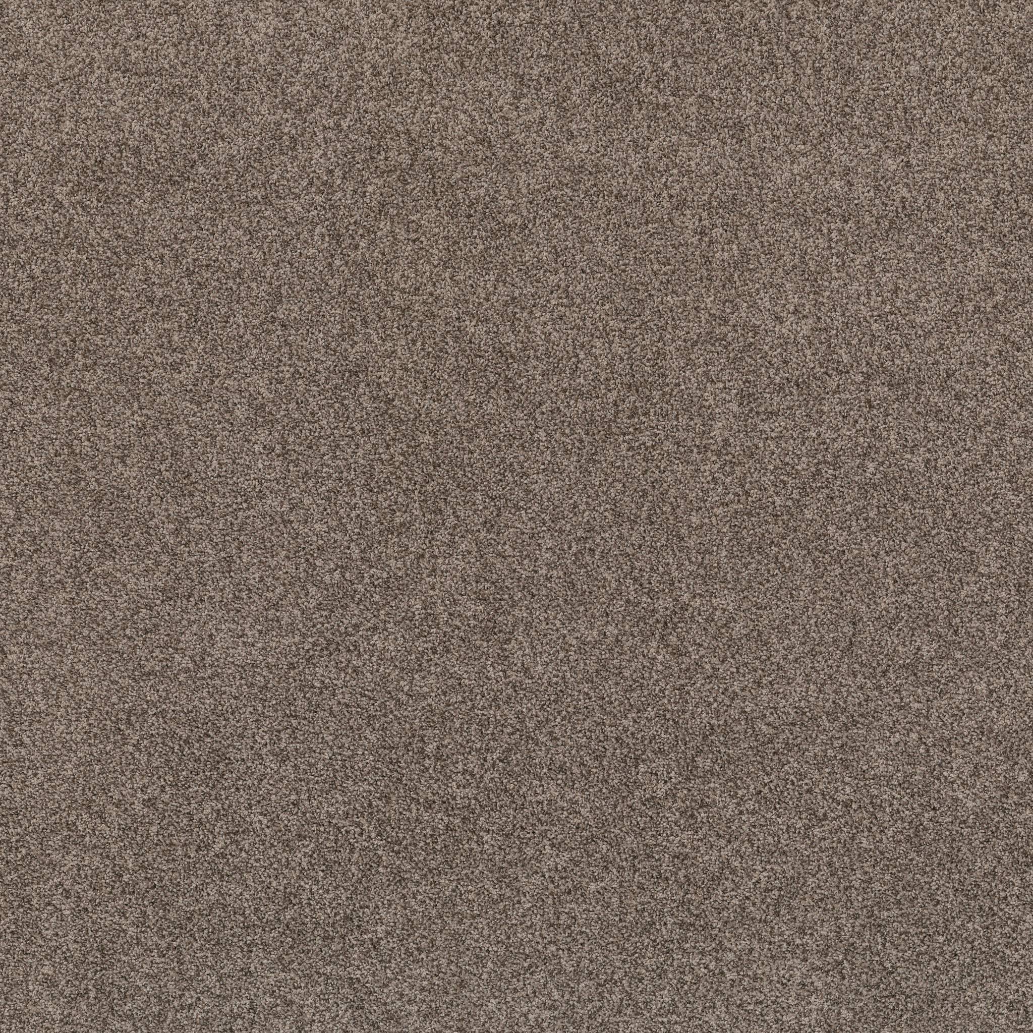 Tango Carpet - Palm Desert Zoomed Swatch Image