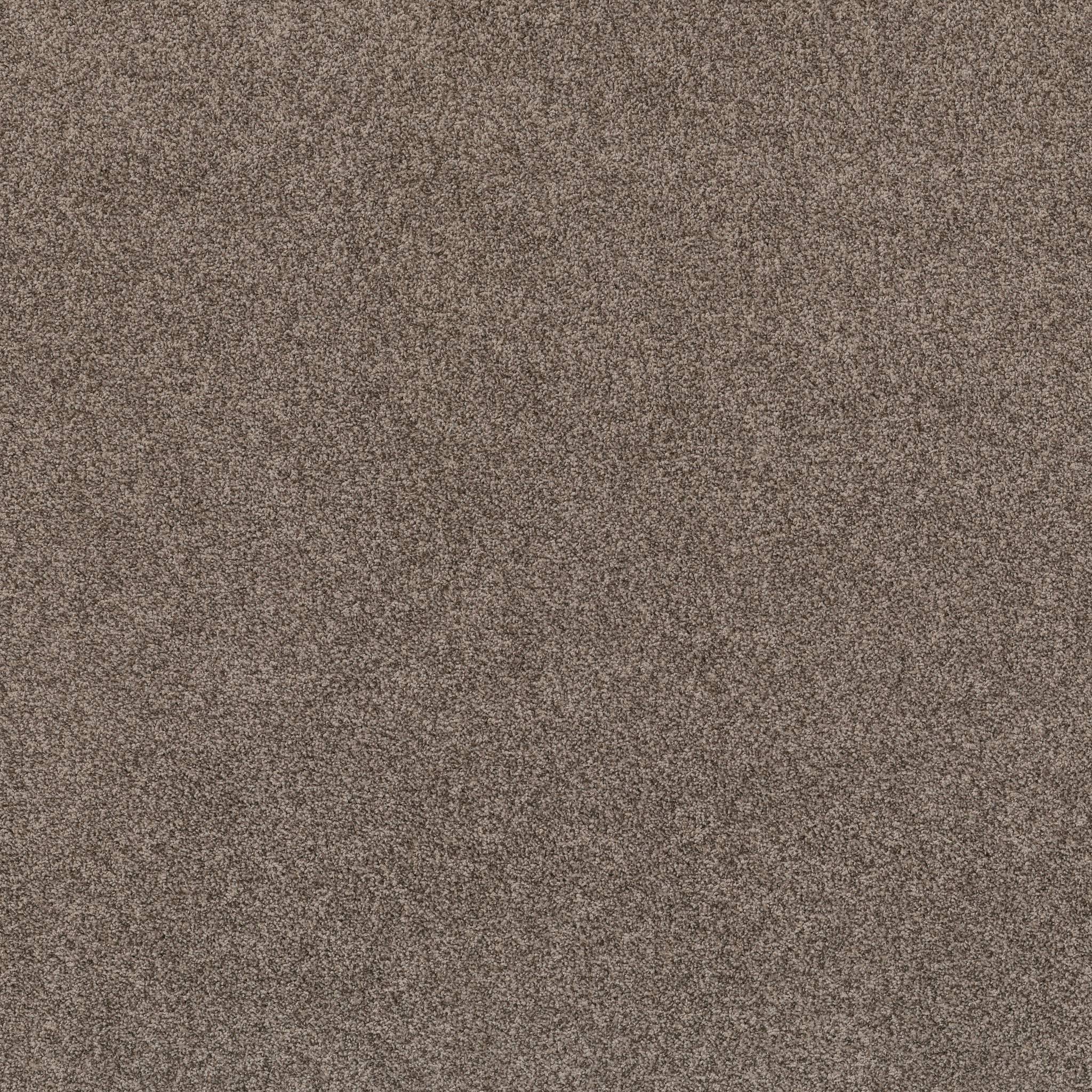 Tango Carpet - Palm Desert Zoomed Swatch Image