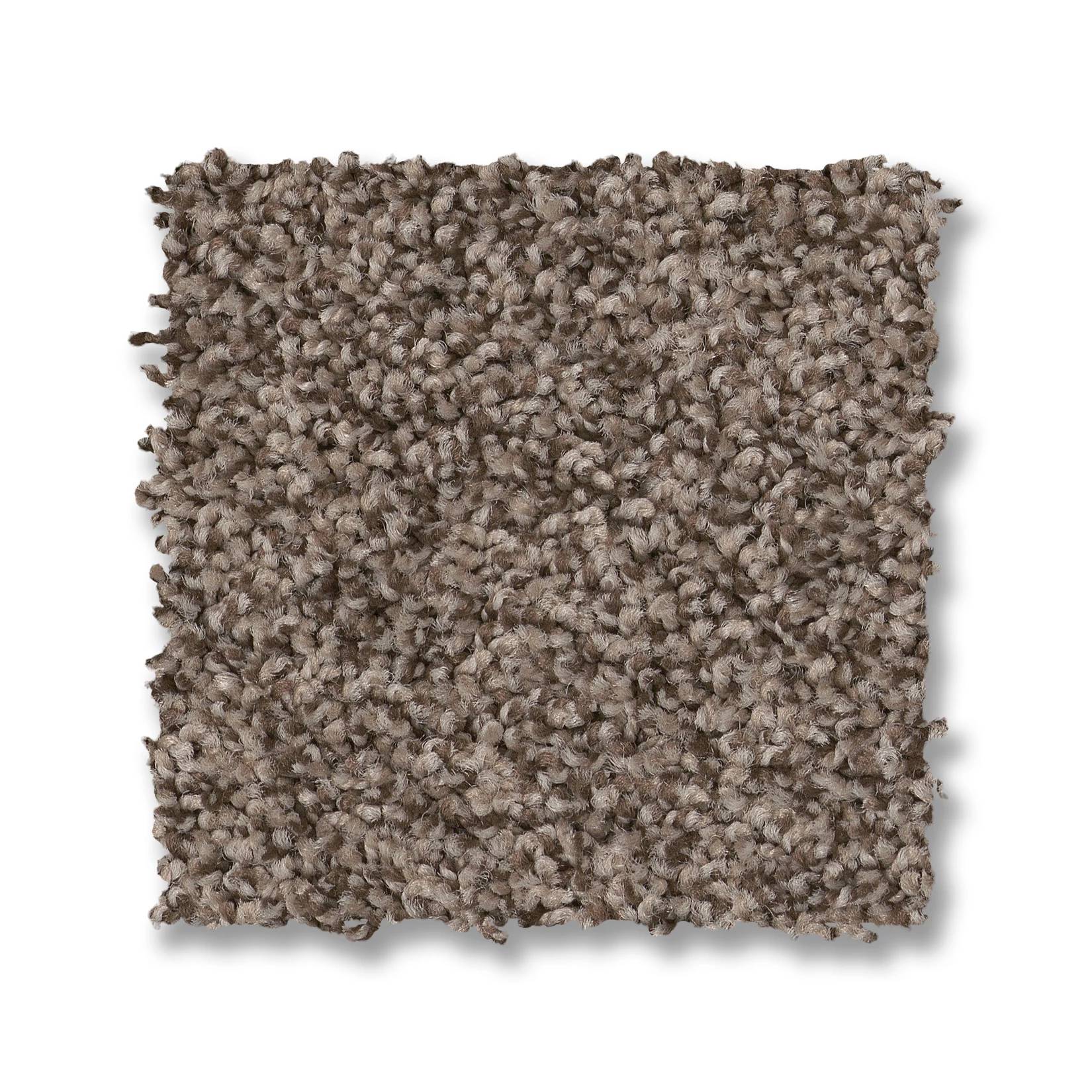 Tango Carpet - Palm Desert Swatch Thumbnail pupop1