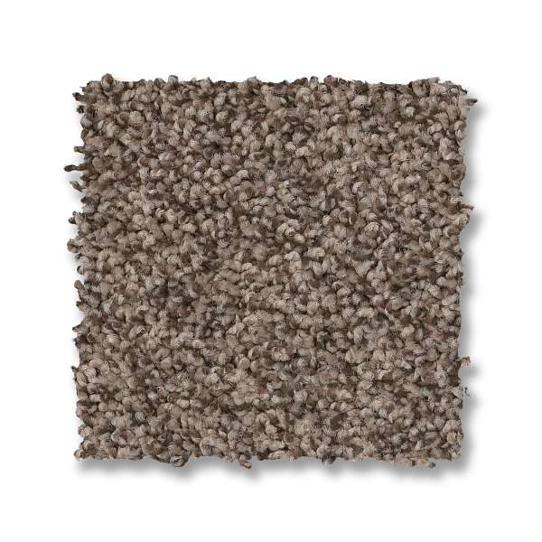 Style Tango Carpet - Palm Desert Swatch