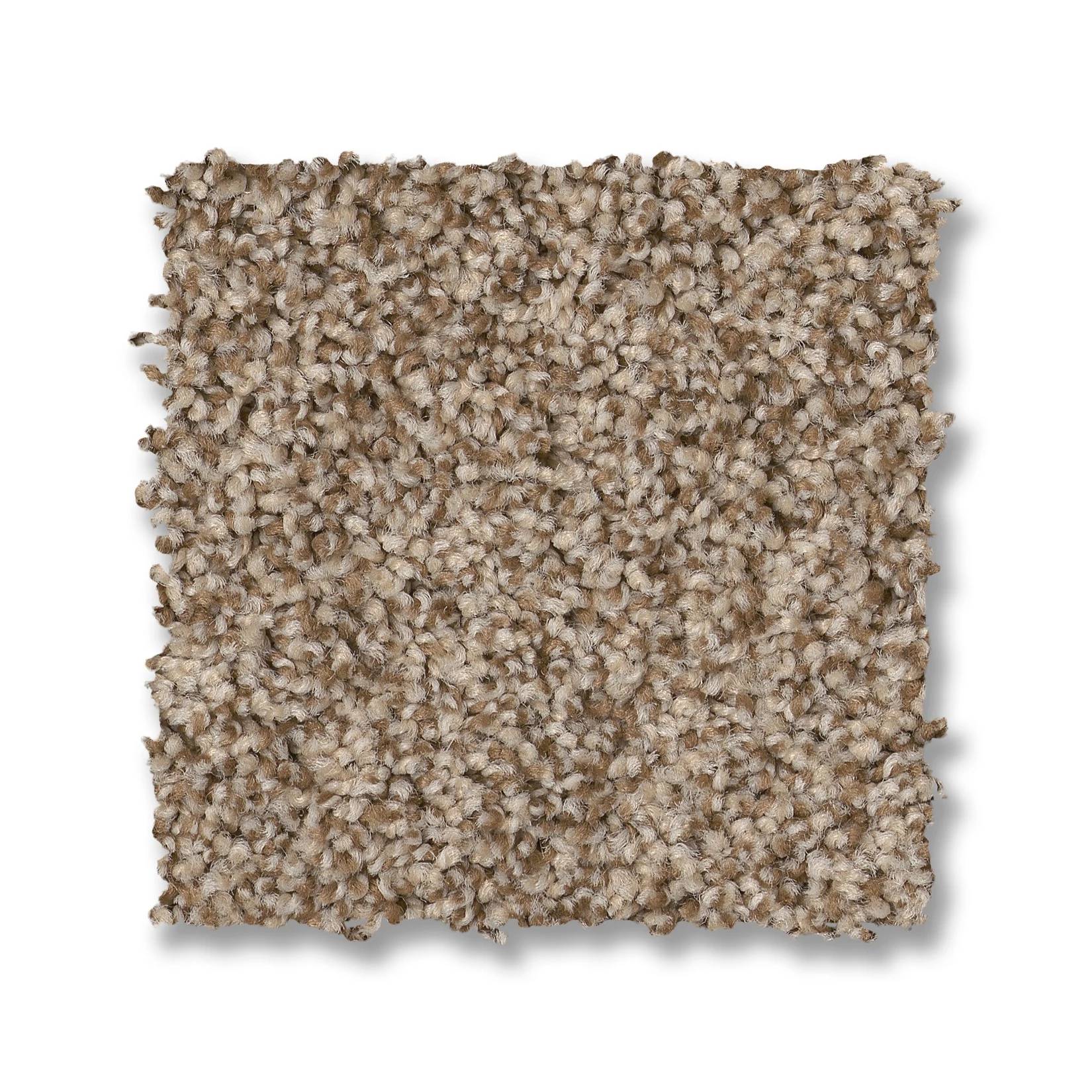 Tango Carpet - Nutshell Swatch Thumbnail pupop1