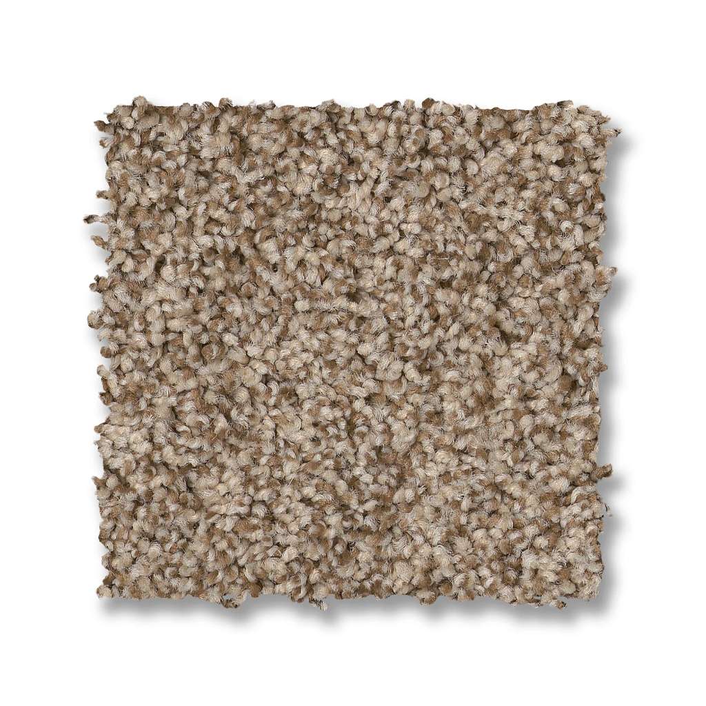 Tango Carpet - Nutshell  Swatch Image 
