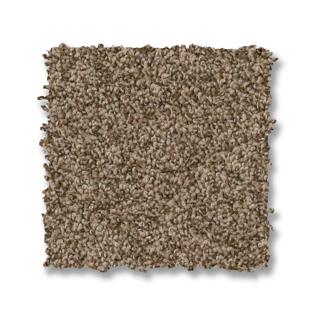 Tango Carpet - Ranch  Swatch Image 