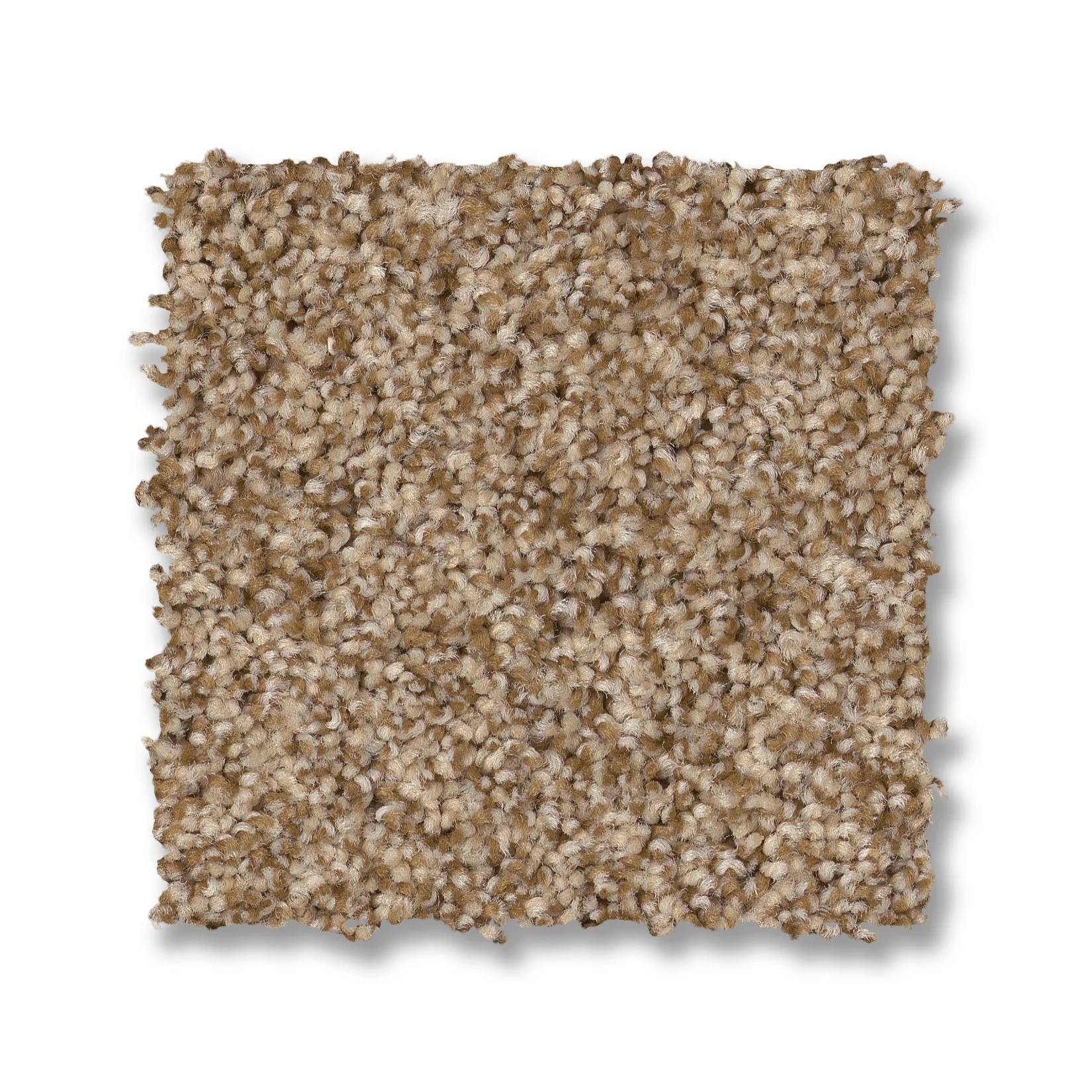 Samba Carpet - Hazel Swatch Thumbnail pupop1