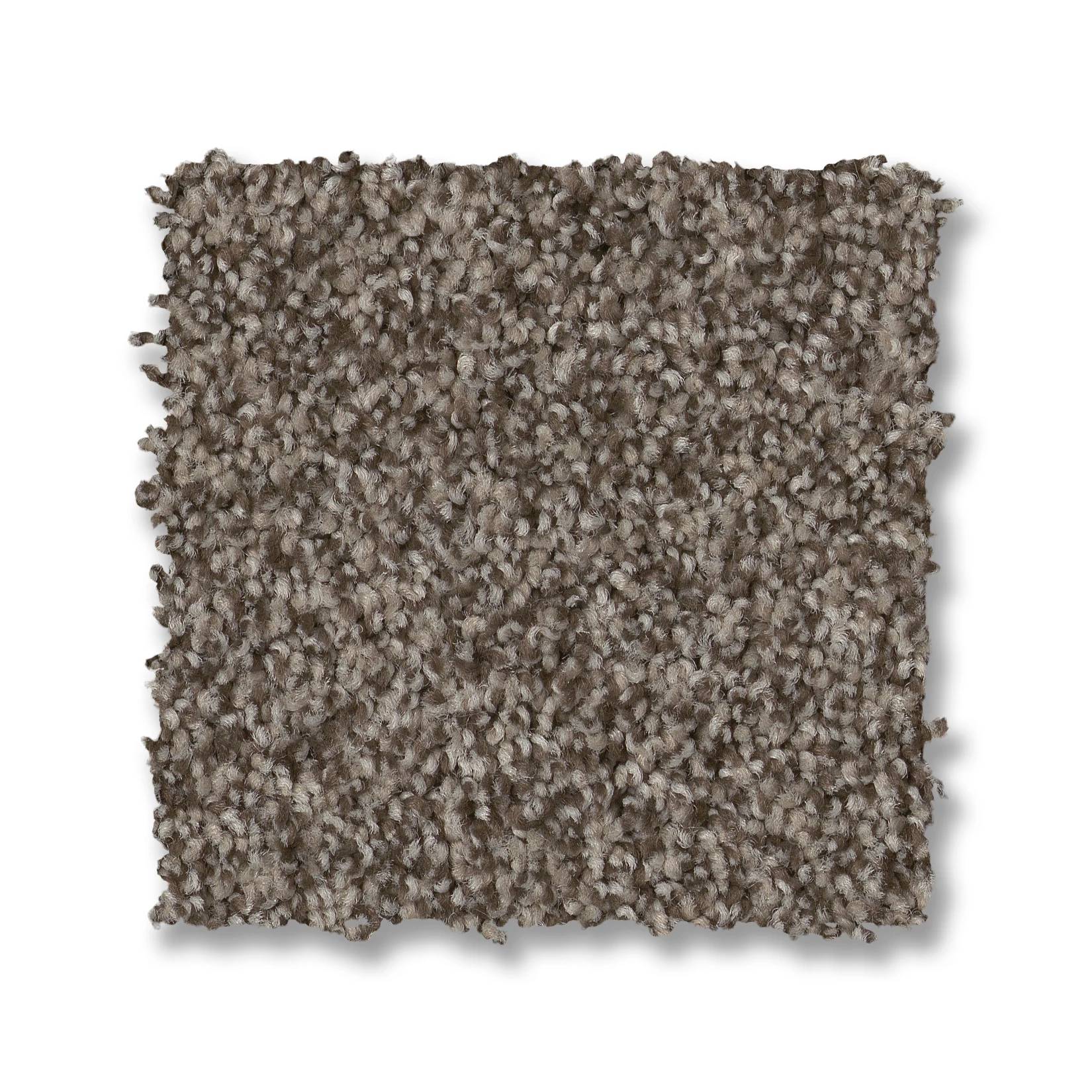 Samba Carpet - Arrowhead Swatch Thumbnail pupop1