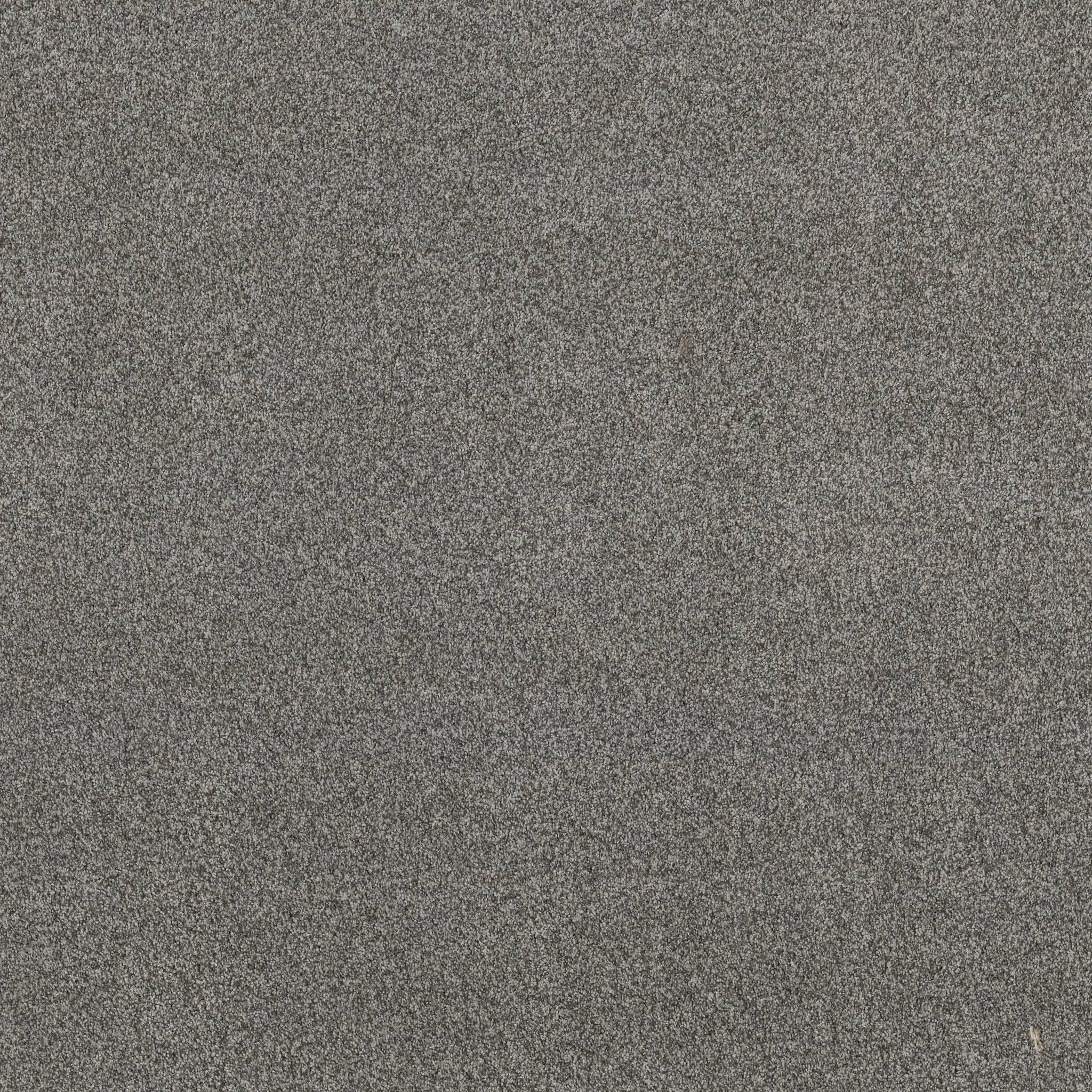 Samba Carpet - Lunar Zoomed Swatch Image