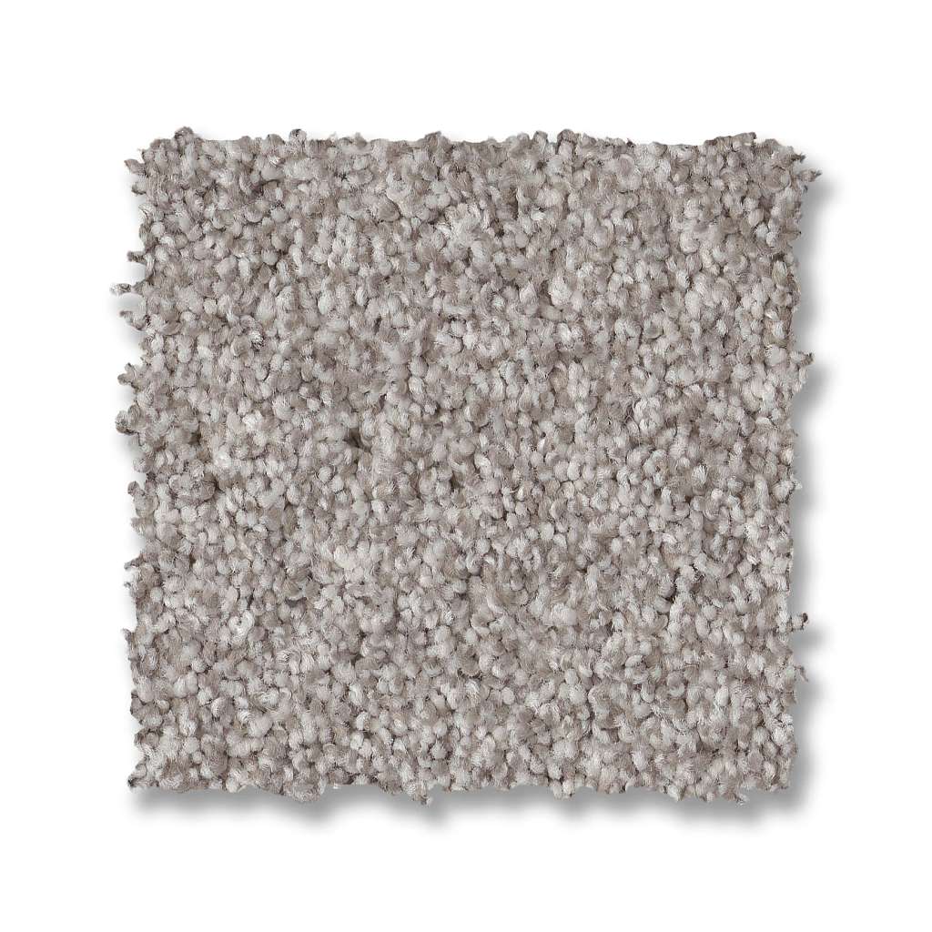 Samba Carpet - Platinum  Swatch Image 