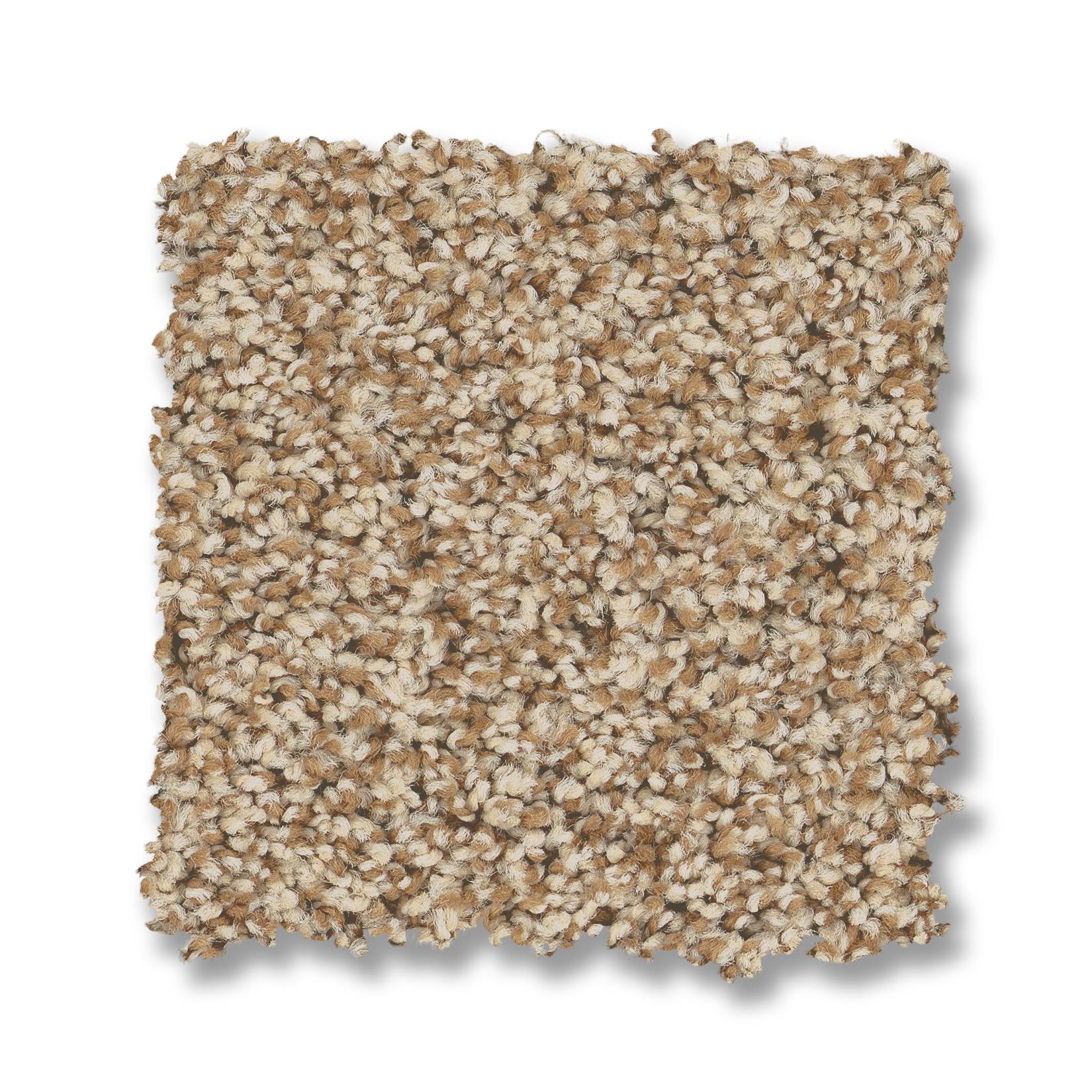 Samba Carpet - Potter's Clay Swatch Thumbnail pupop1