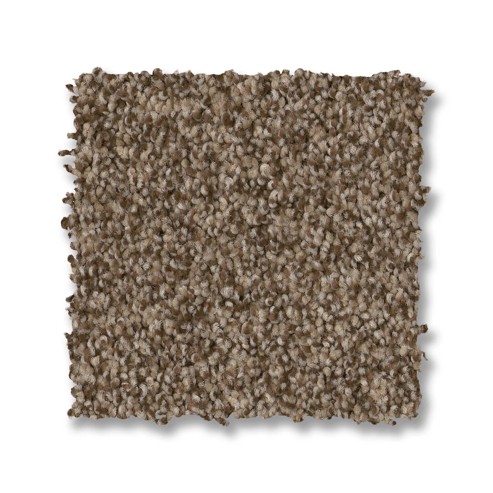 Samba Carpet - Joshua Tree Swatch Thumbnail pupop1