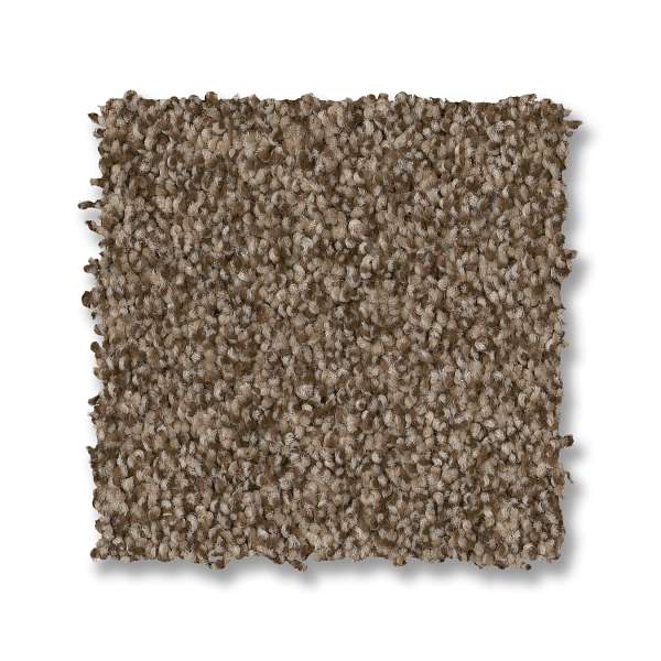 Style Samba Carpet - Joshua Tree Swatch