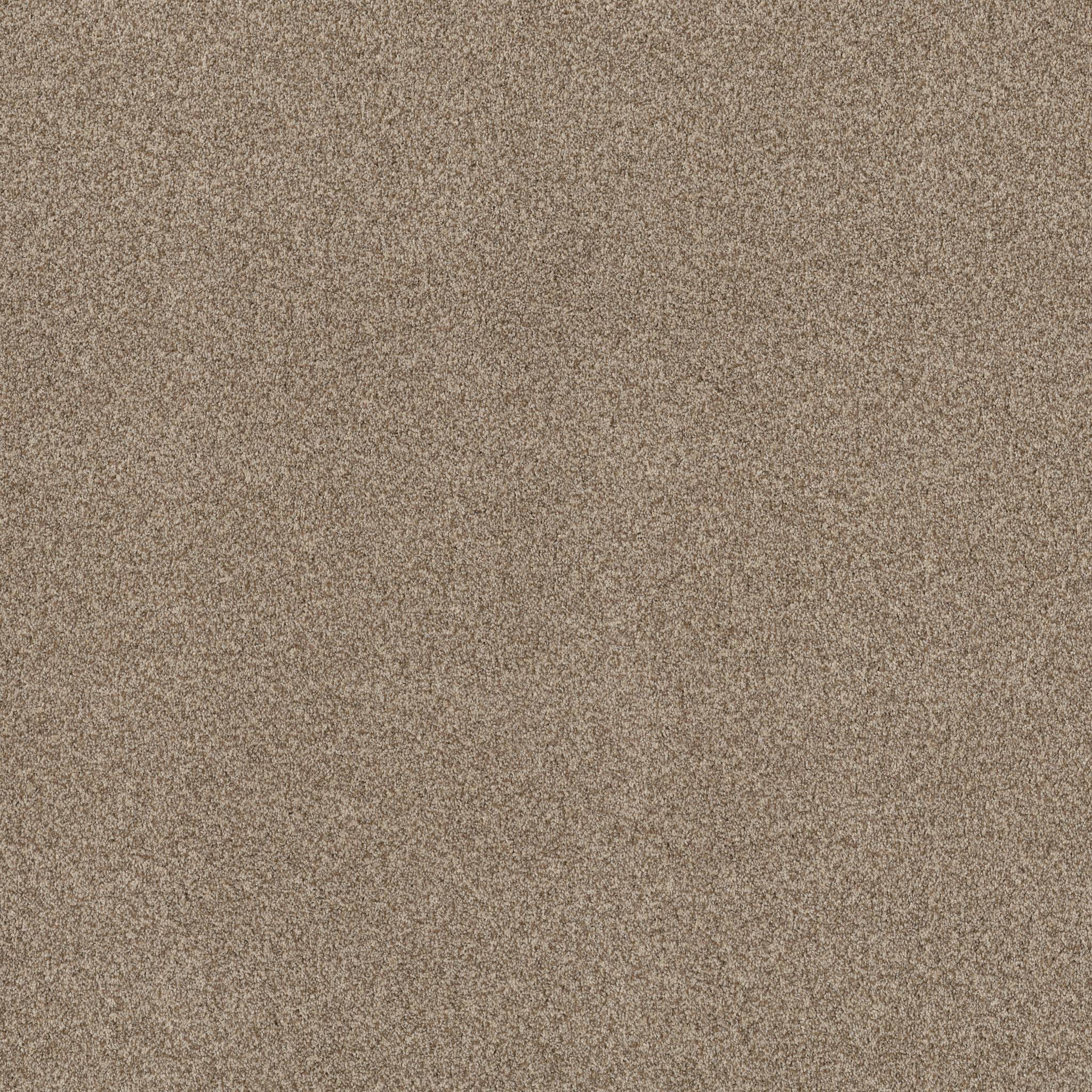 Samba Carpet - Landscape Zoomed Swatch Image