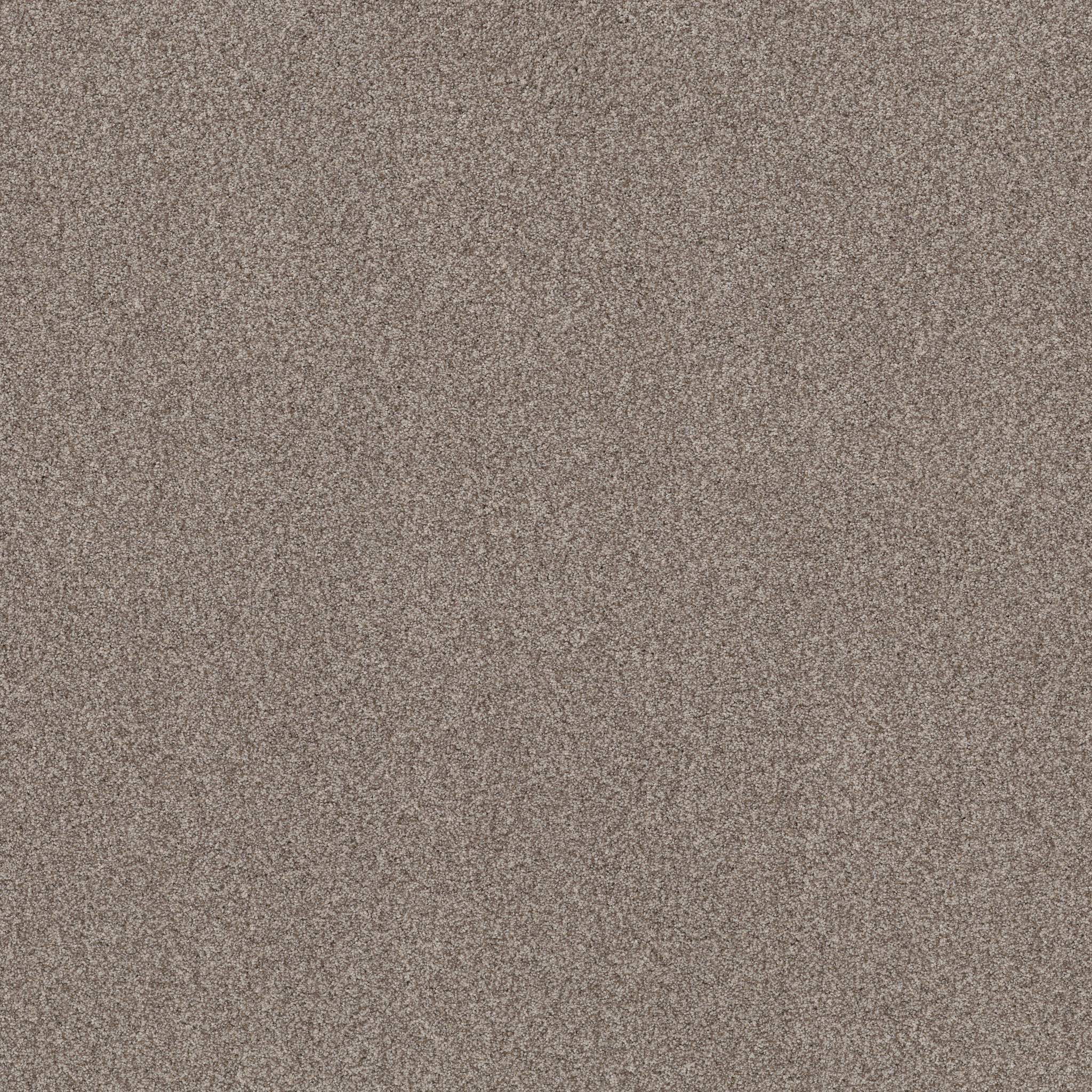 Samba Carpet - Pashmina Zoomed Swatch Image