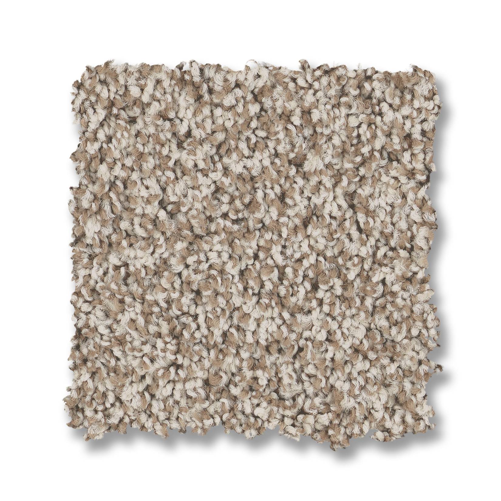 Paso Doble Carpet - Spun Cotton Swatch Thumbnail pupop1