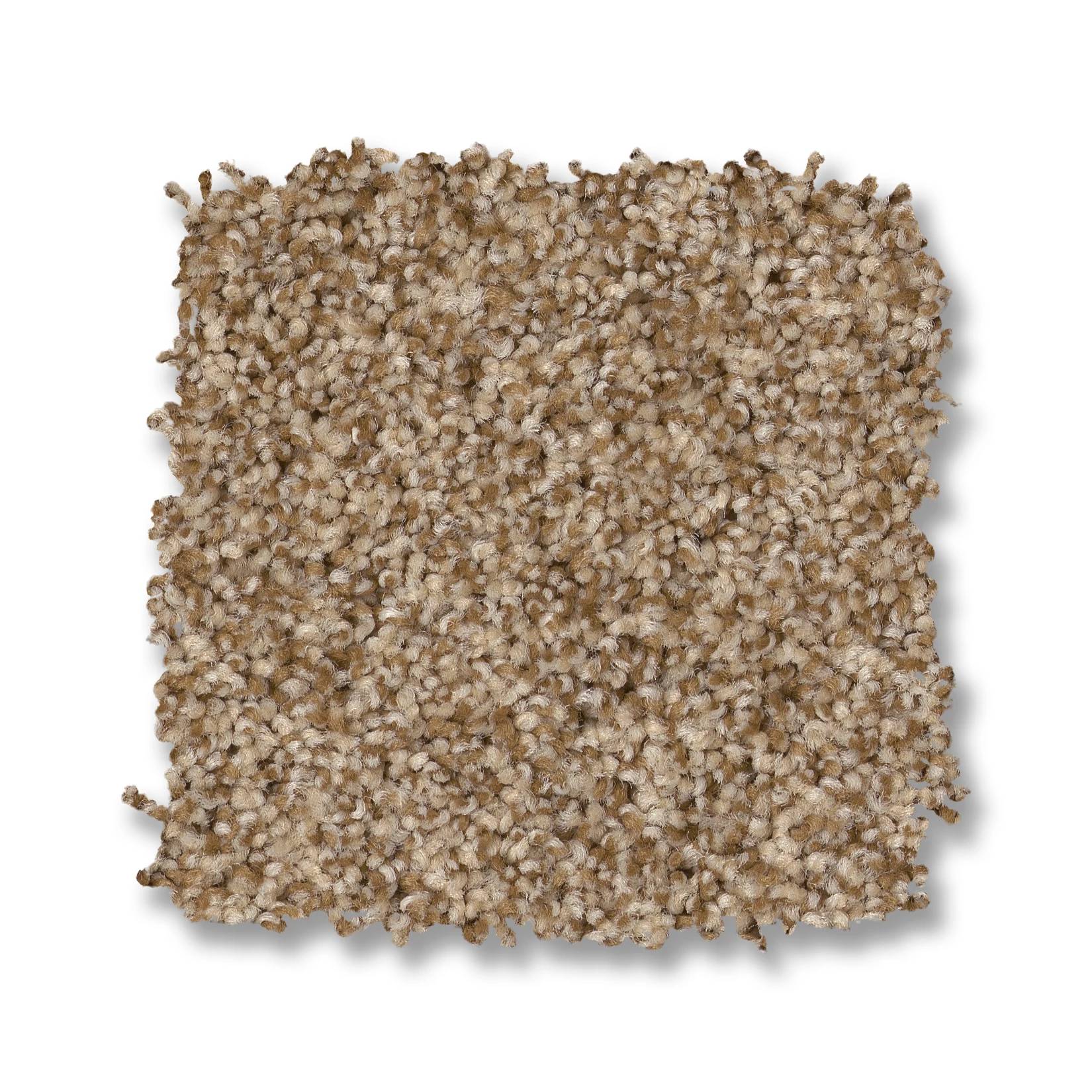 Paso Doble Carpet - Hazel Swatch Thumbnail pupop1