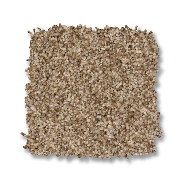 Style Paso Doble Carpet - Hazel Swatch