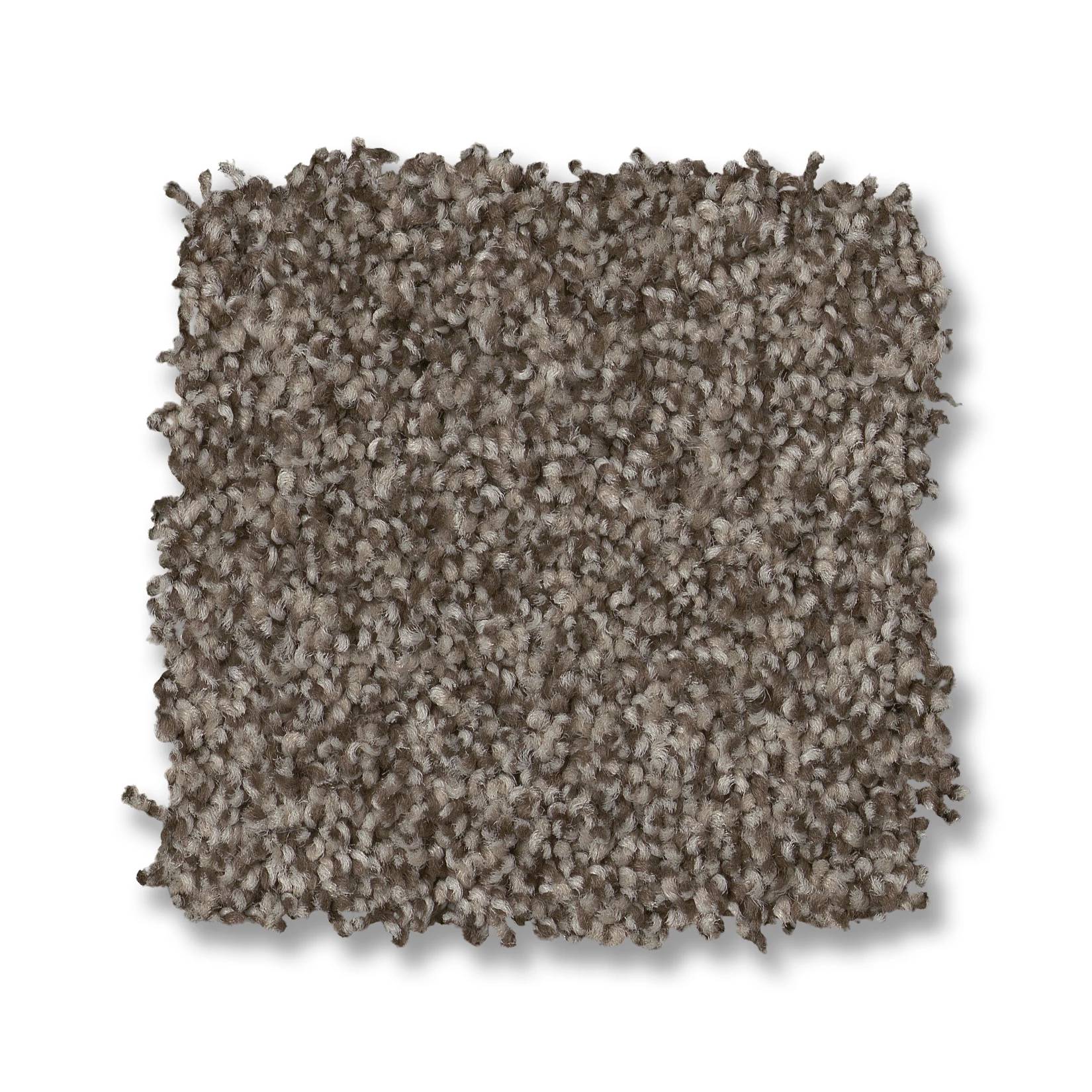 Paso Doble Carpet - Arrowhead Swatch Thumbnail pupop1