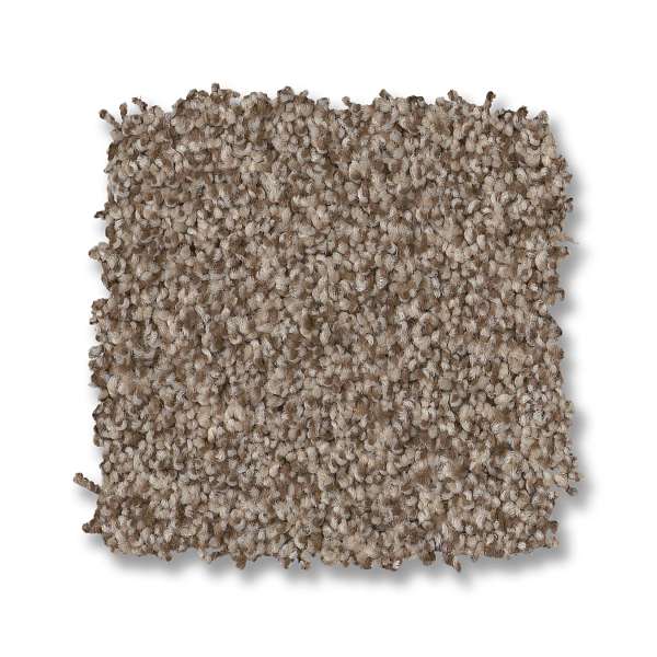 Style Paso Doble Carpet - Roasted Swatch
